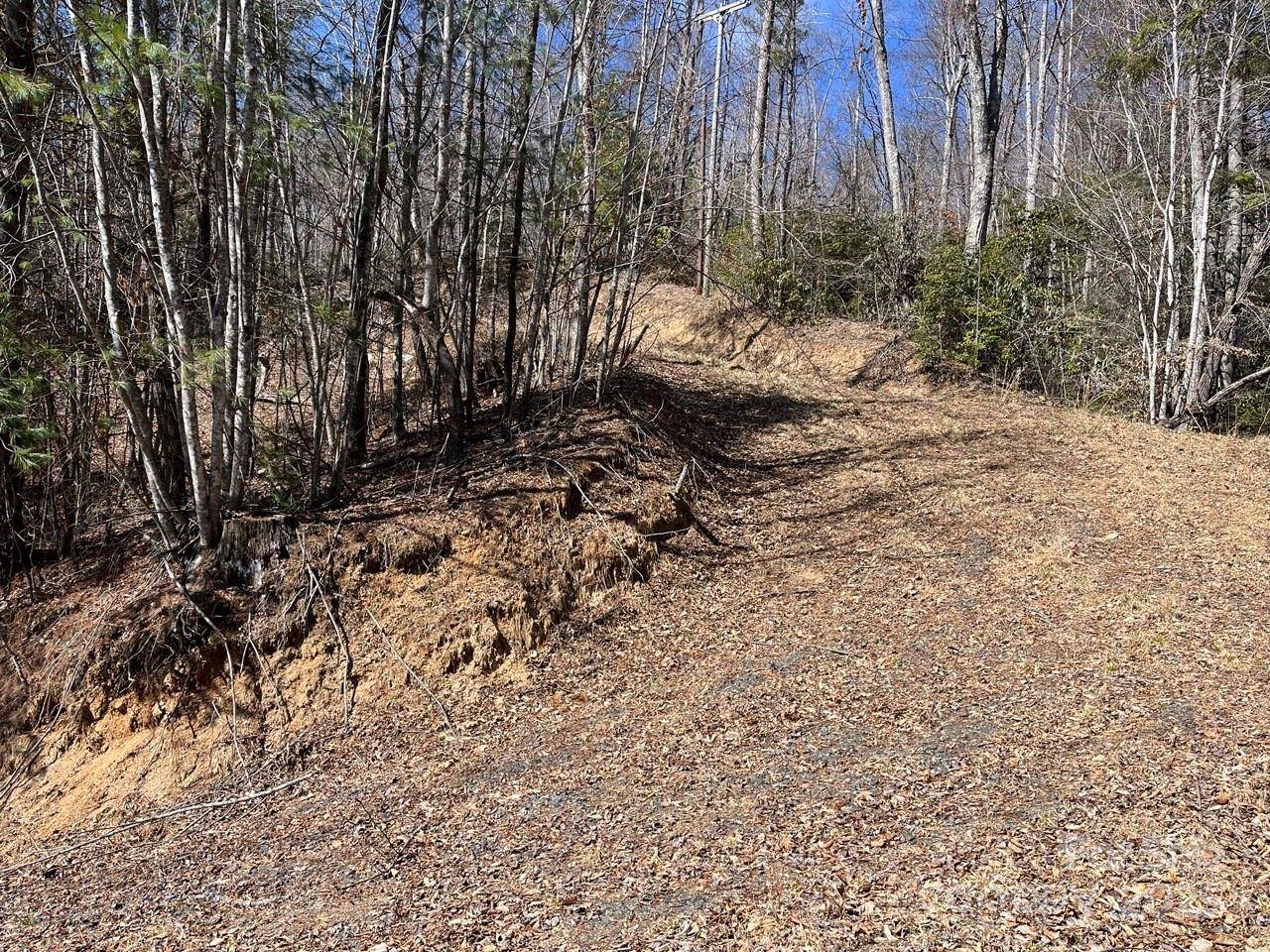 000 Trinity PL, Burnsville, NC 28714