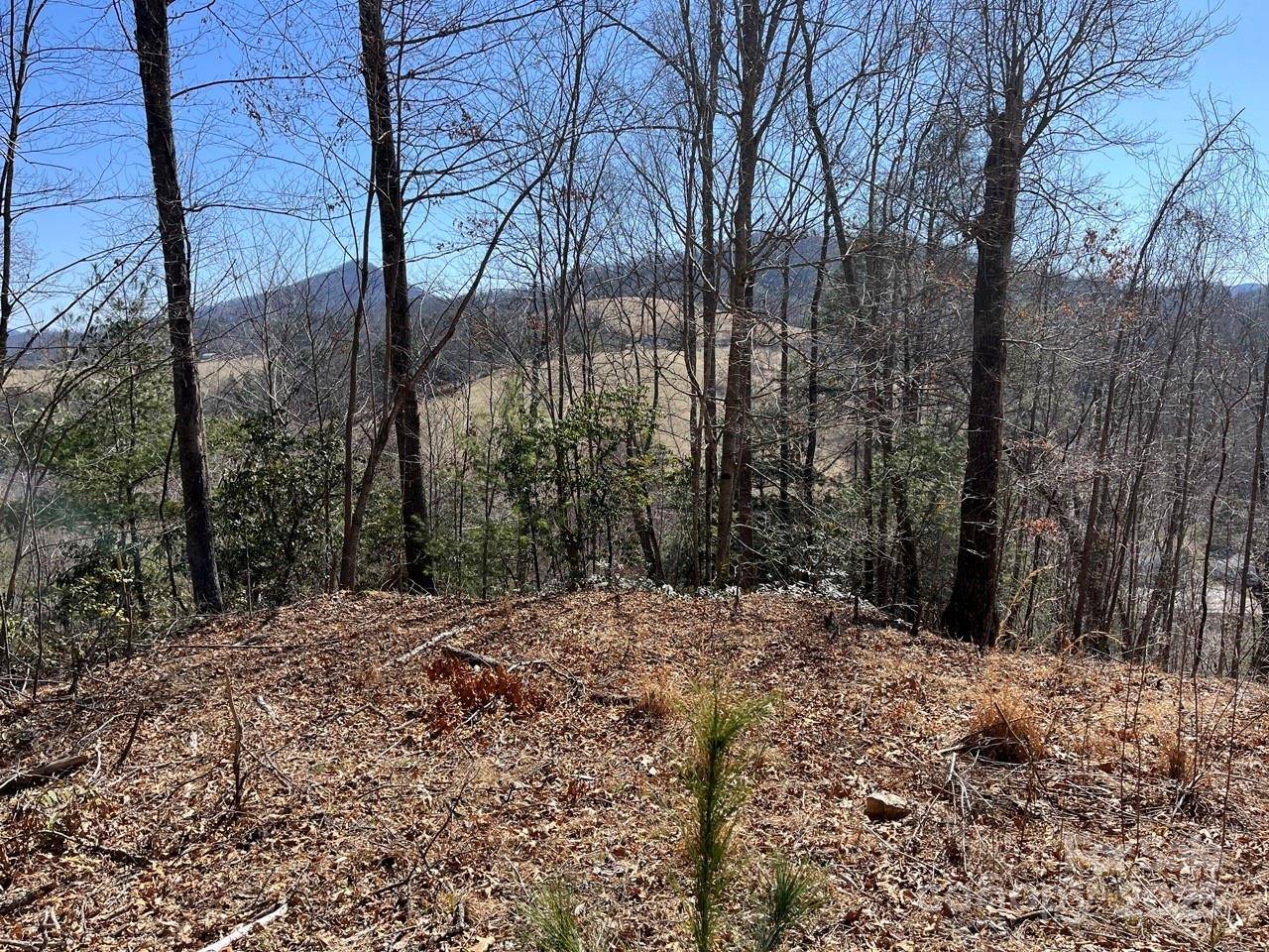 000 Trinity PL, Burnsville, NC 28714