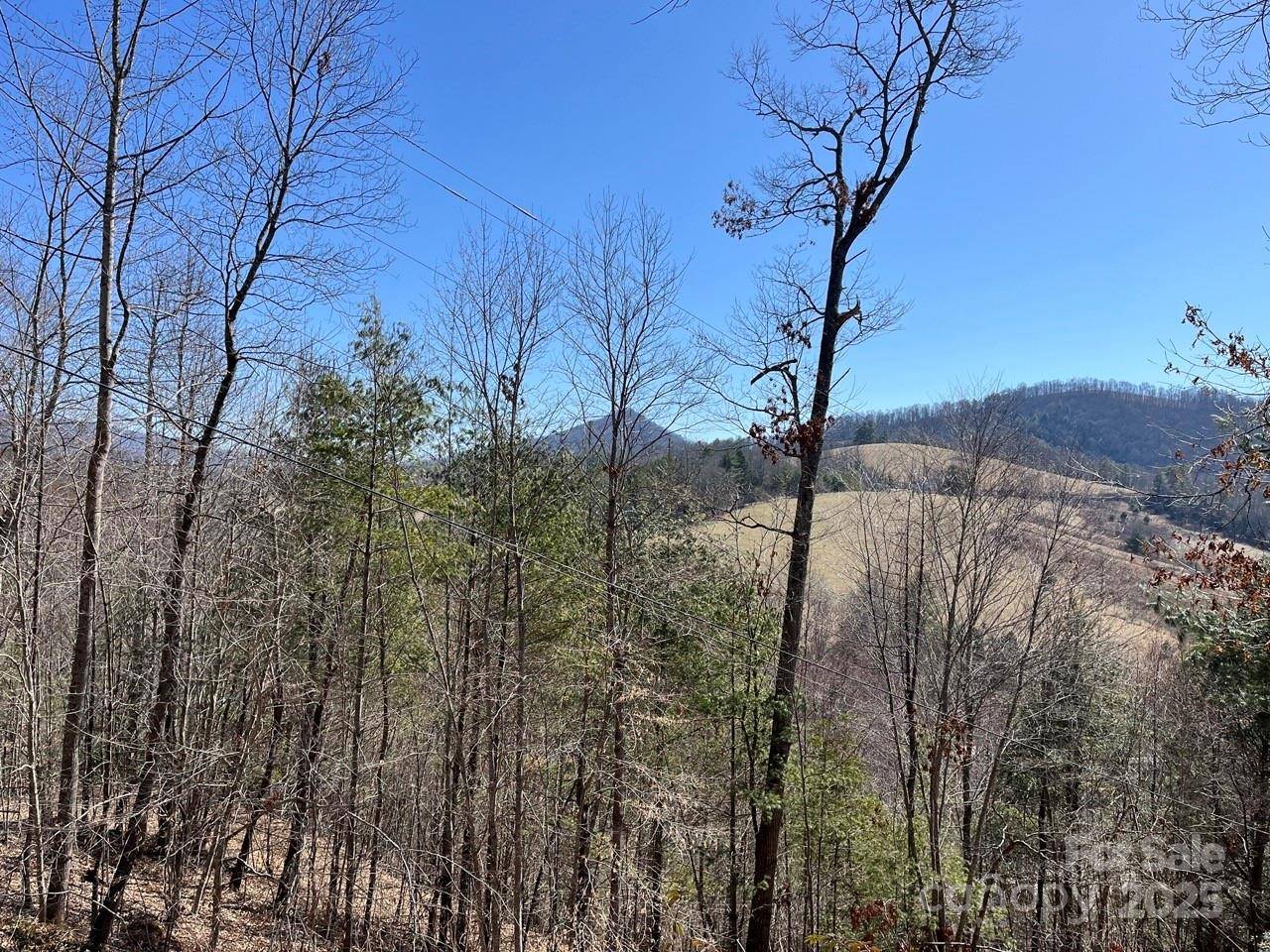 000 Trinity PL, Burnsville, NC 28714