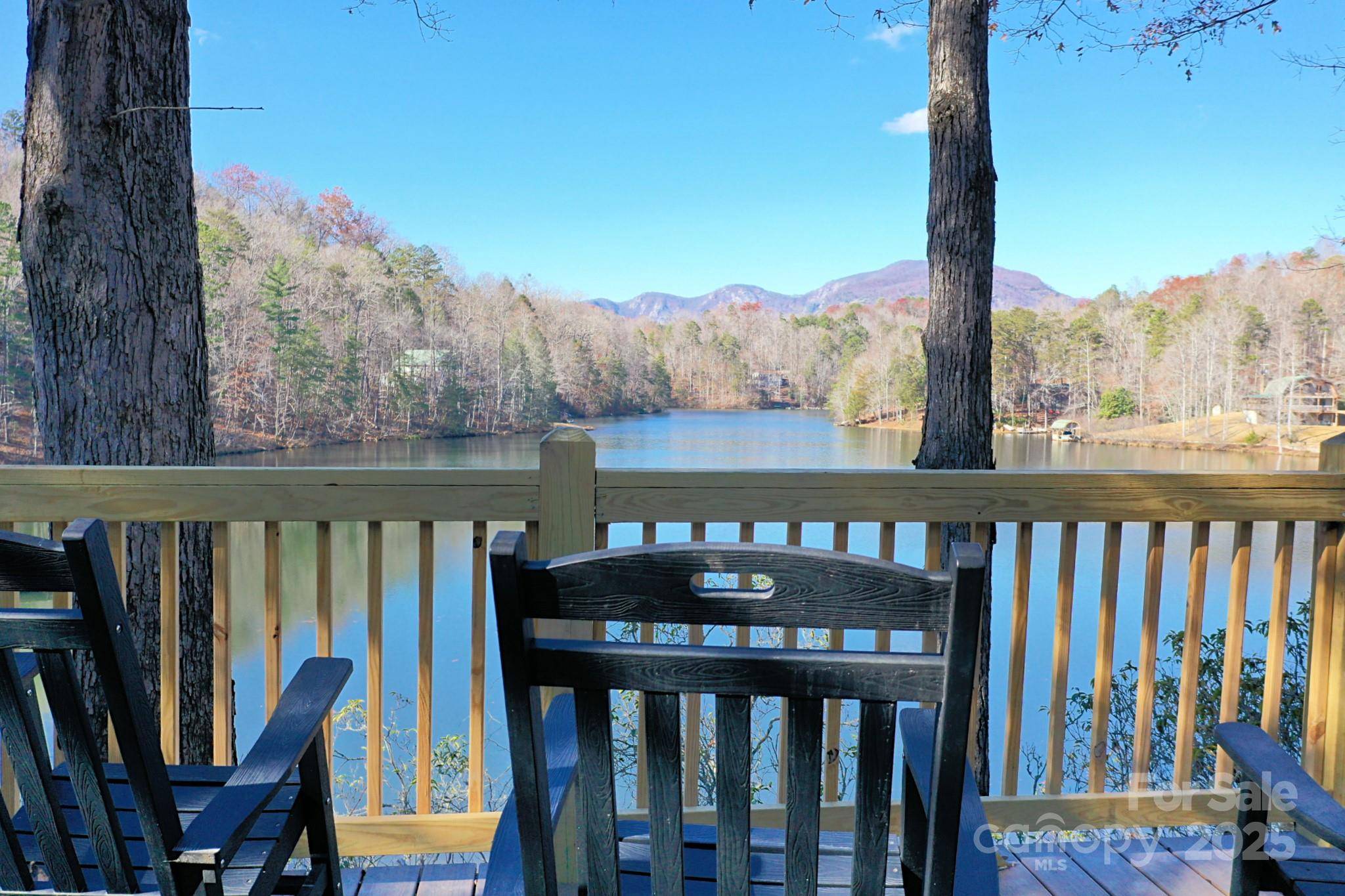 0 Woodcock AVE #306, Lake Lure, NC 28746