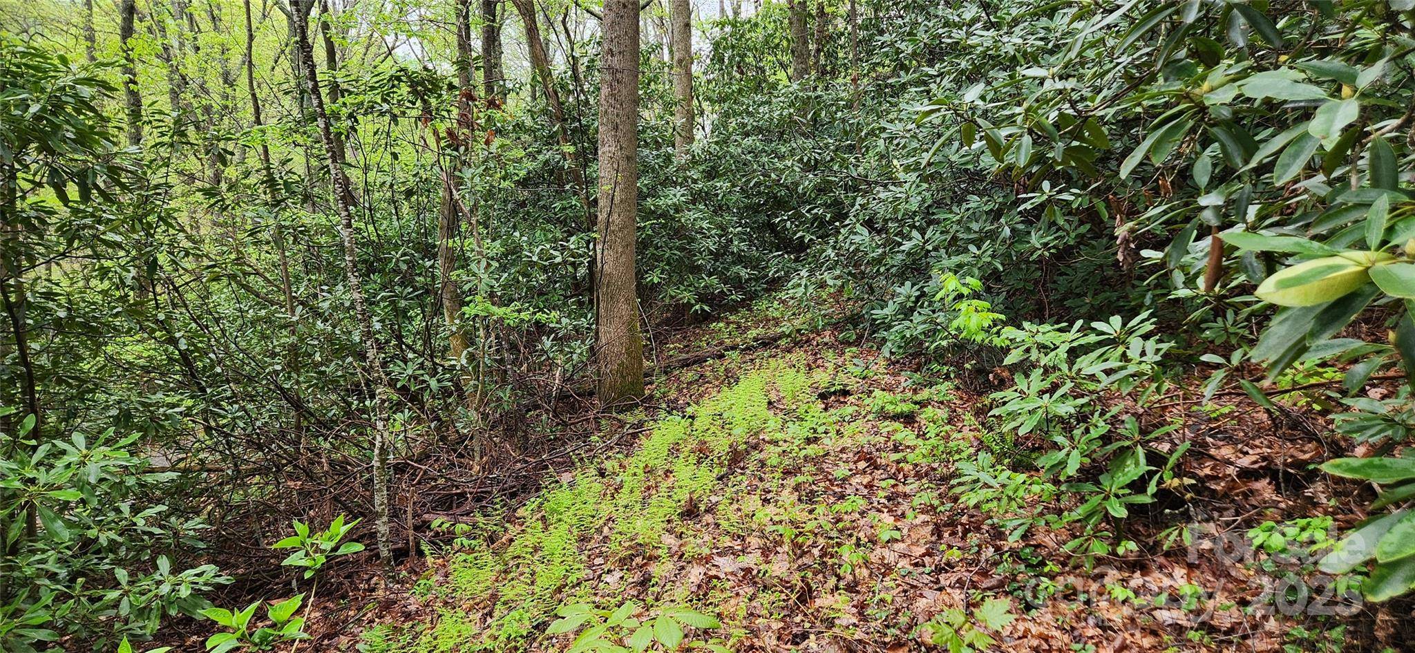 99999 Atherton WAY, Asheville, NC 28803