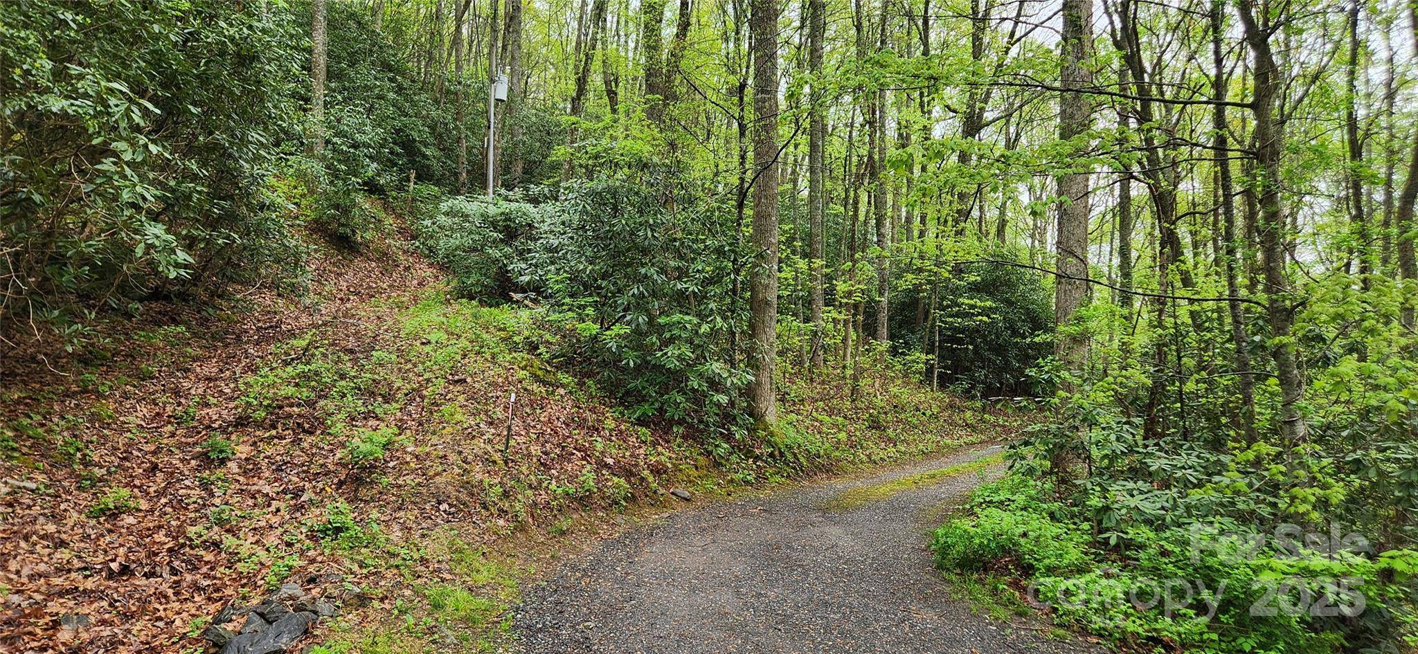 99999 Atherton WAY, Asheville, NC 28803