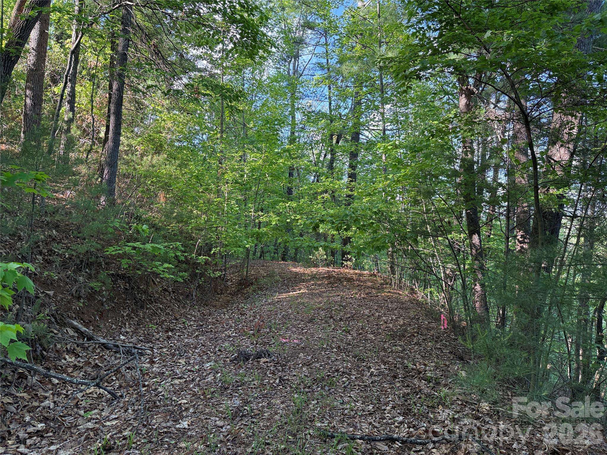 TBD Wolf Pen RD #27, Purlear, NC 28665
