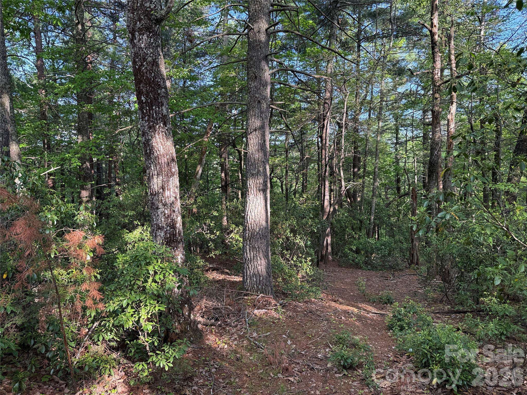 TBD Wolf Pen RD #27, Purlear, NC 28665