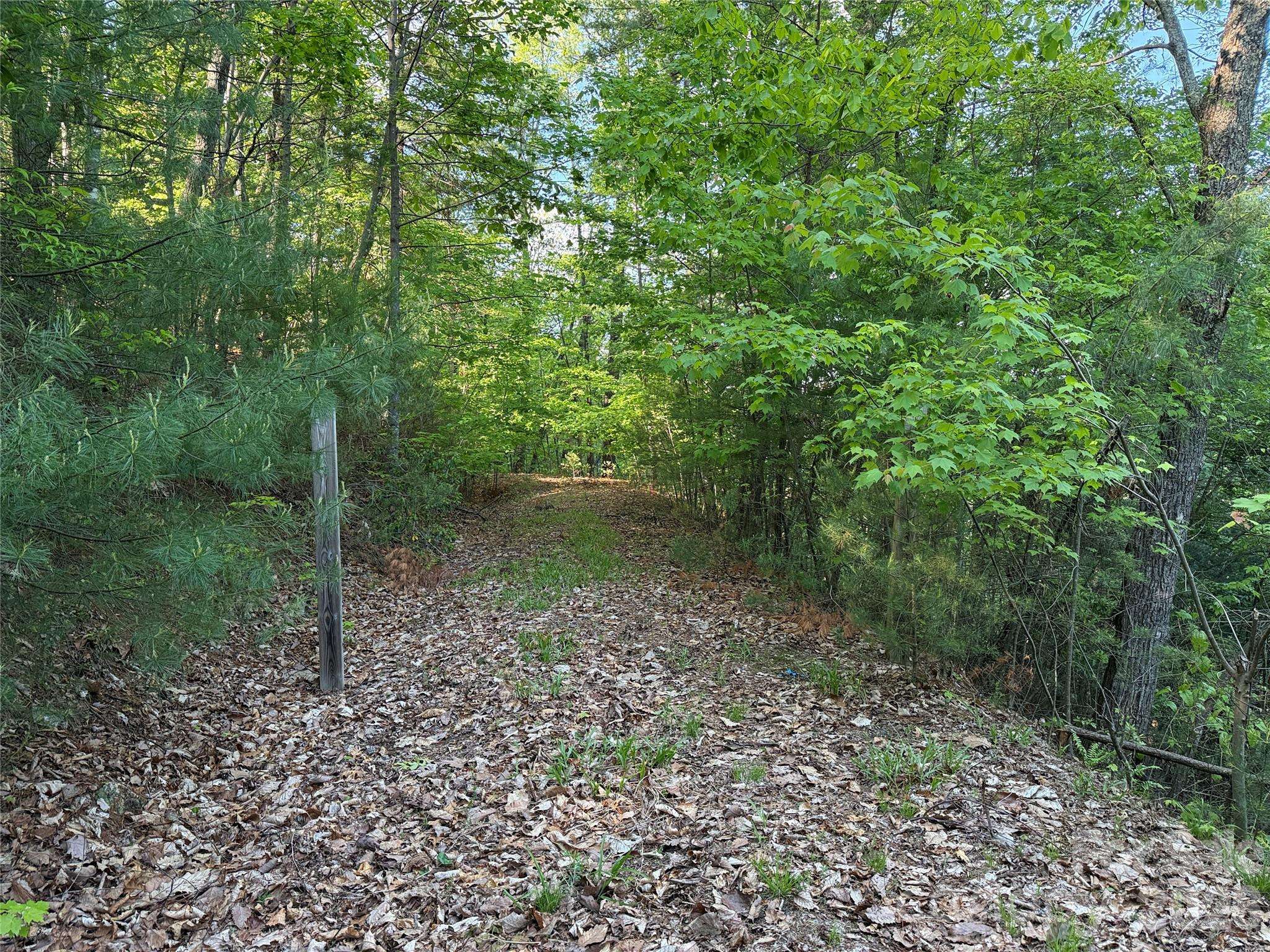 TBD Wolf Pen RD #27, Purlear, NC 28665