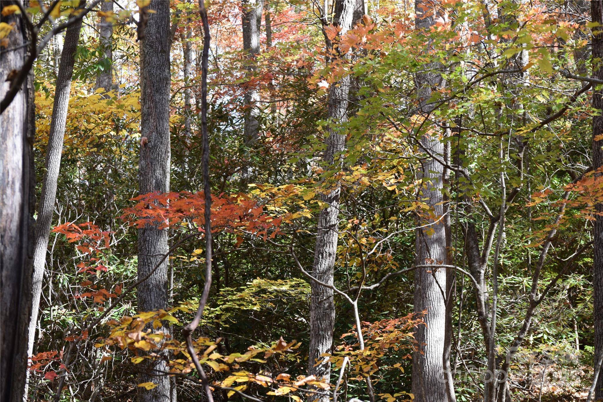 TBD Clear Creek RD, Burnsville, NC 28714