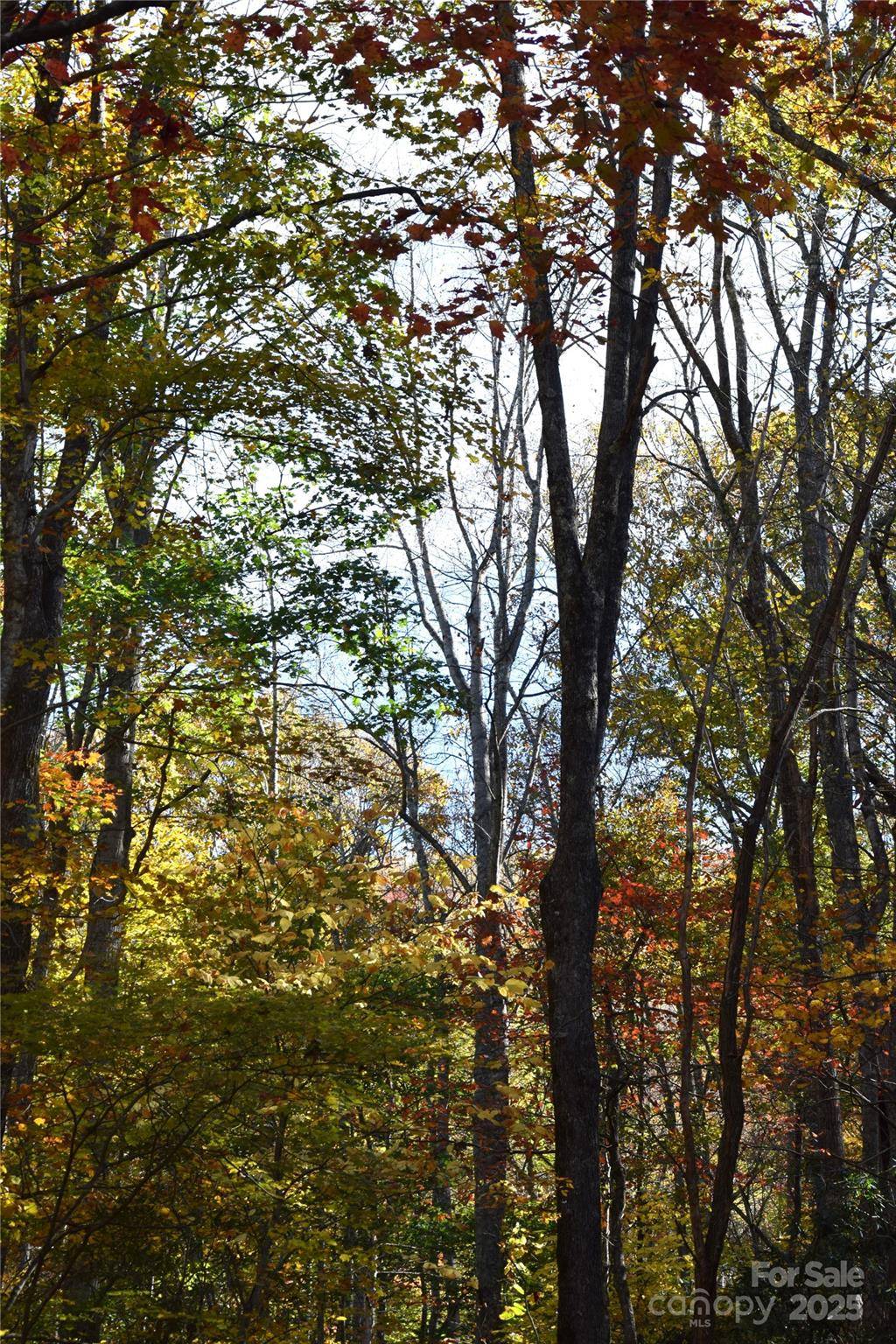 TBD Clear Creek RD, Burnsville, NC 28714