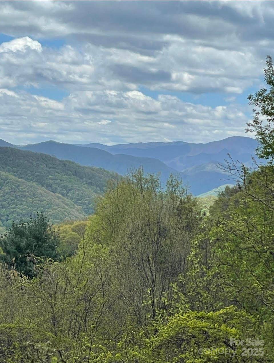 0000 Jerome LN, Leicester, NC 28748