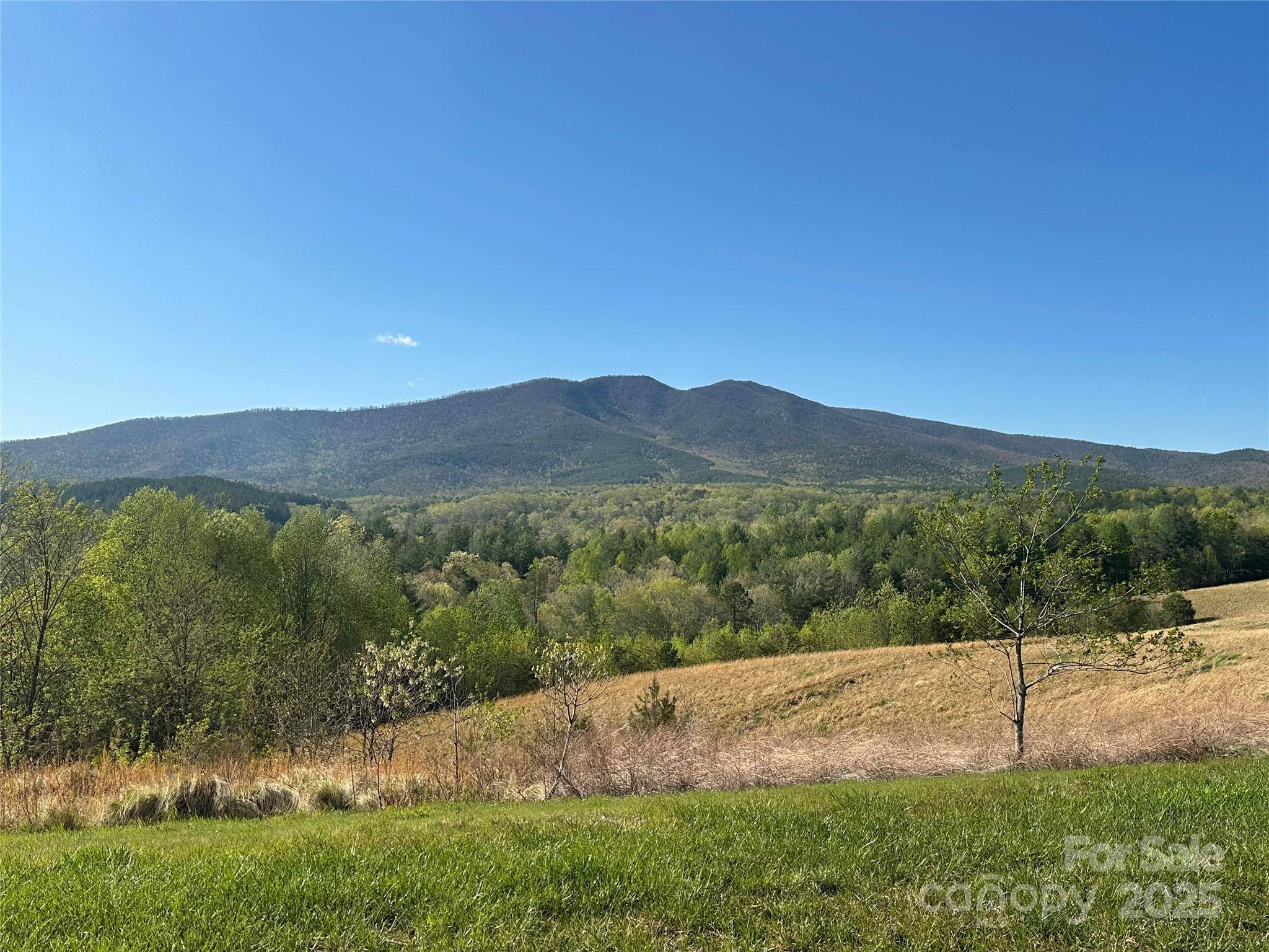 Vacant Lot 15 Lake Crest DR #15, Nebo, NC 28761