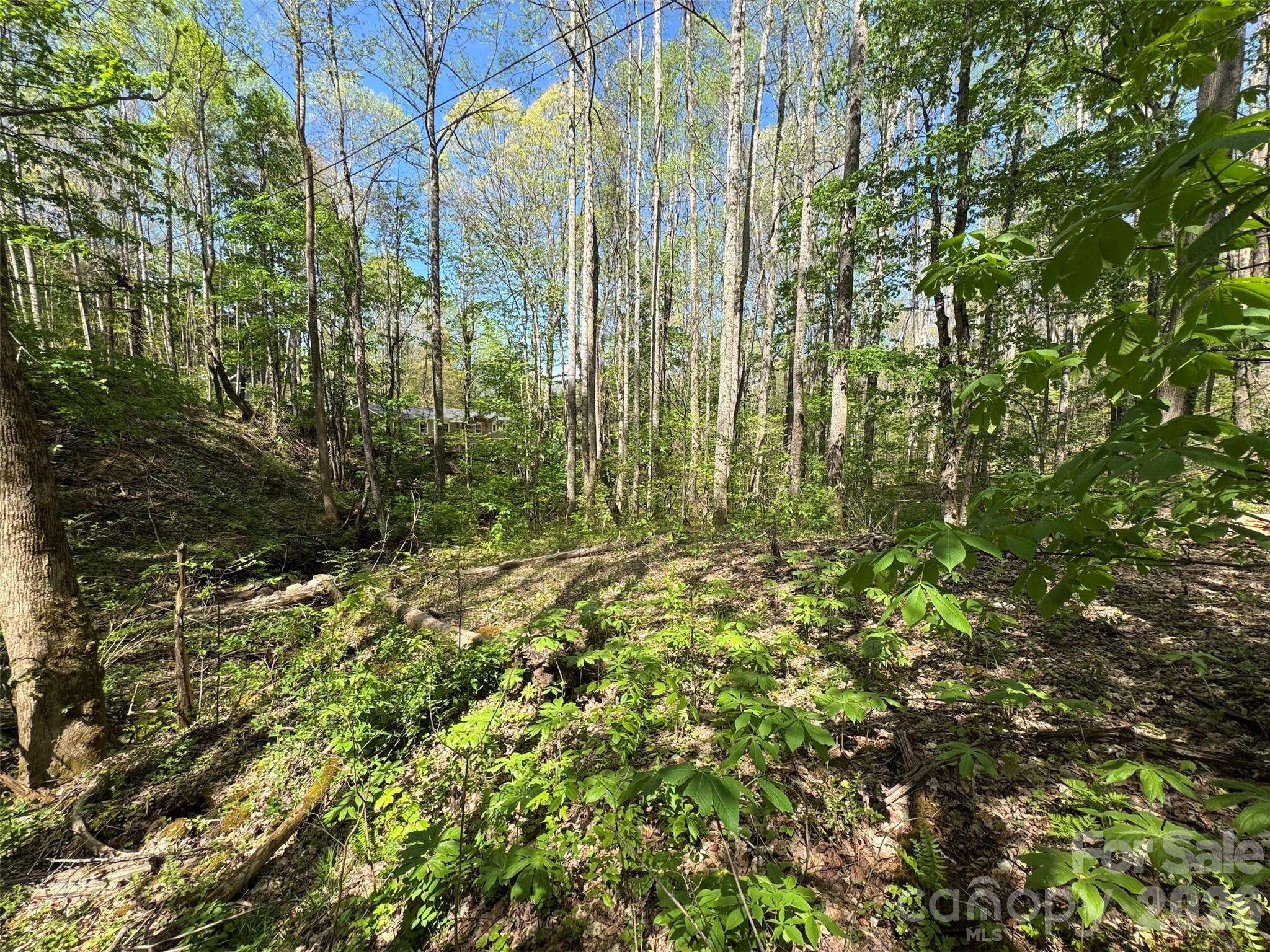 TBD (B) Browning Branch RD, Waynesville, NC 28786