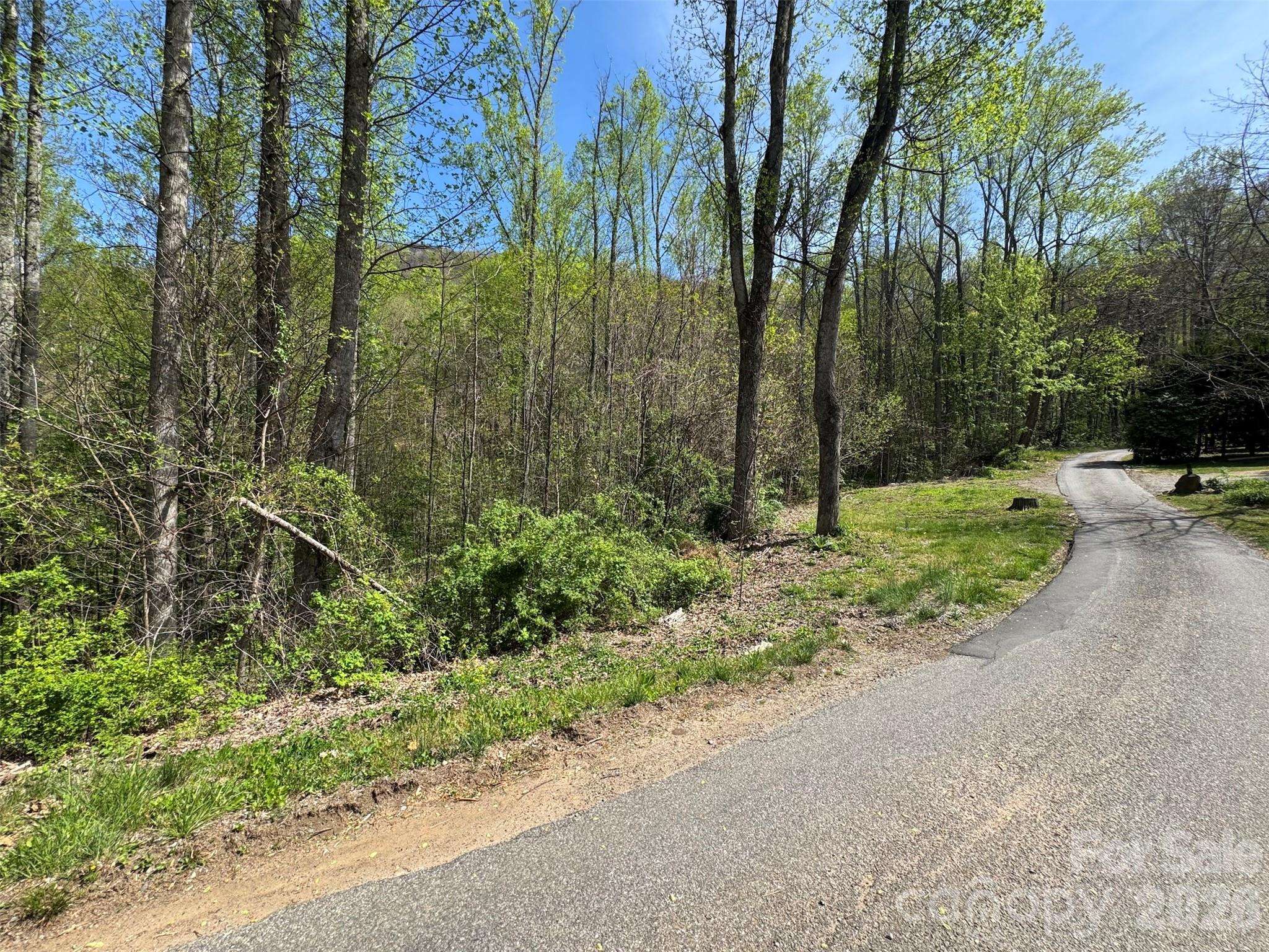 TBD (B) Browning Branch RD, Waynesville, NC 28786