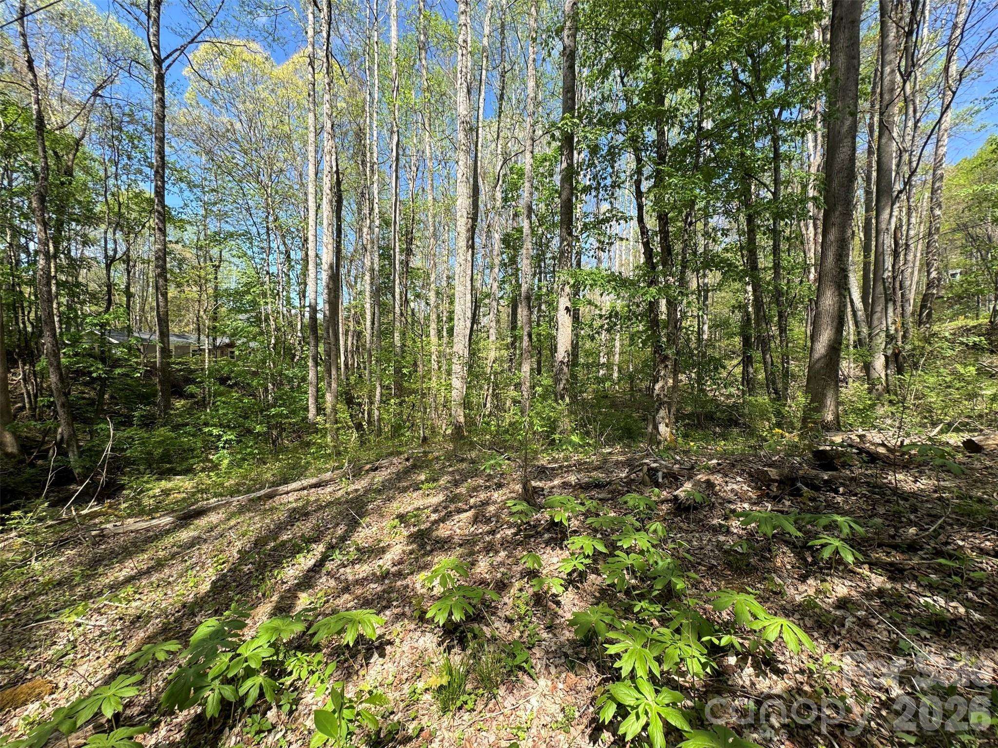 TBD (B) Browning Branch RD, Waynesville, NC 28786