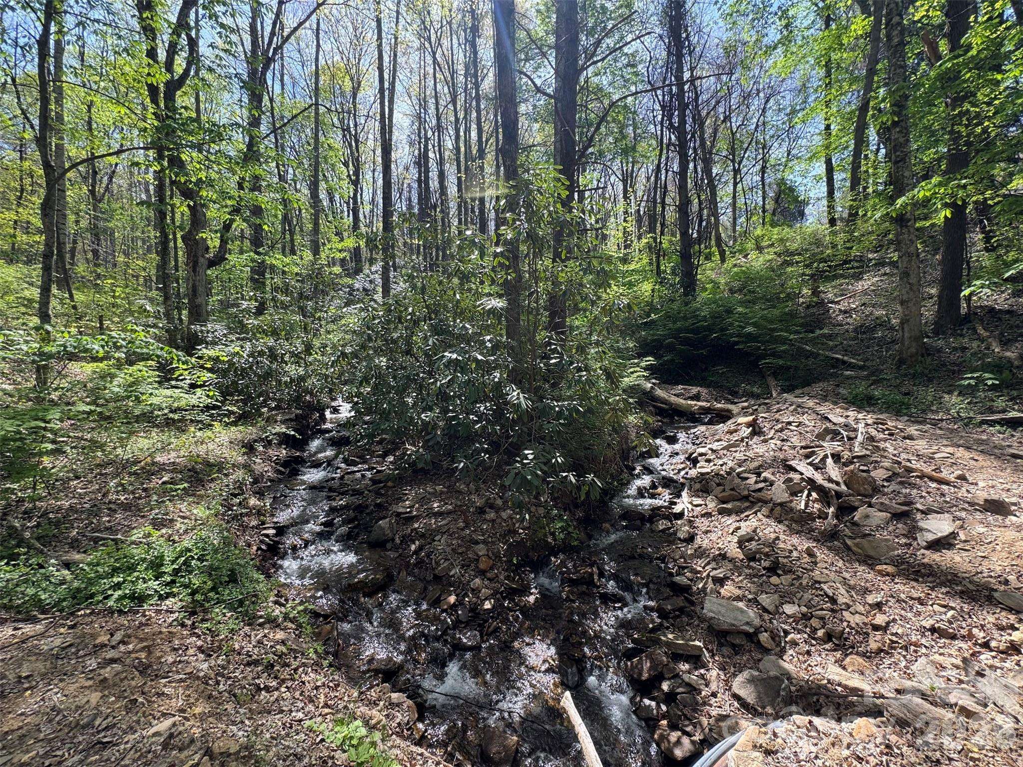 TBD (B) Browning Branch RD, Waynesville, NC 28786