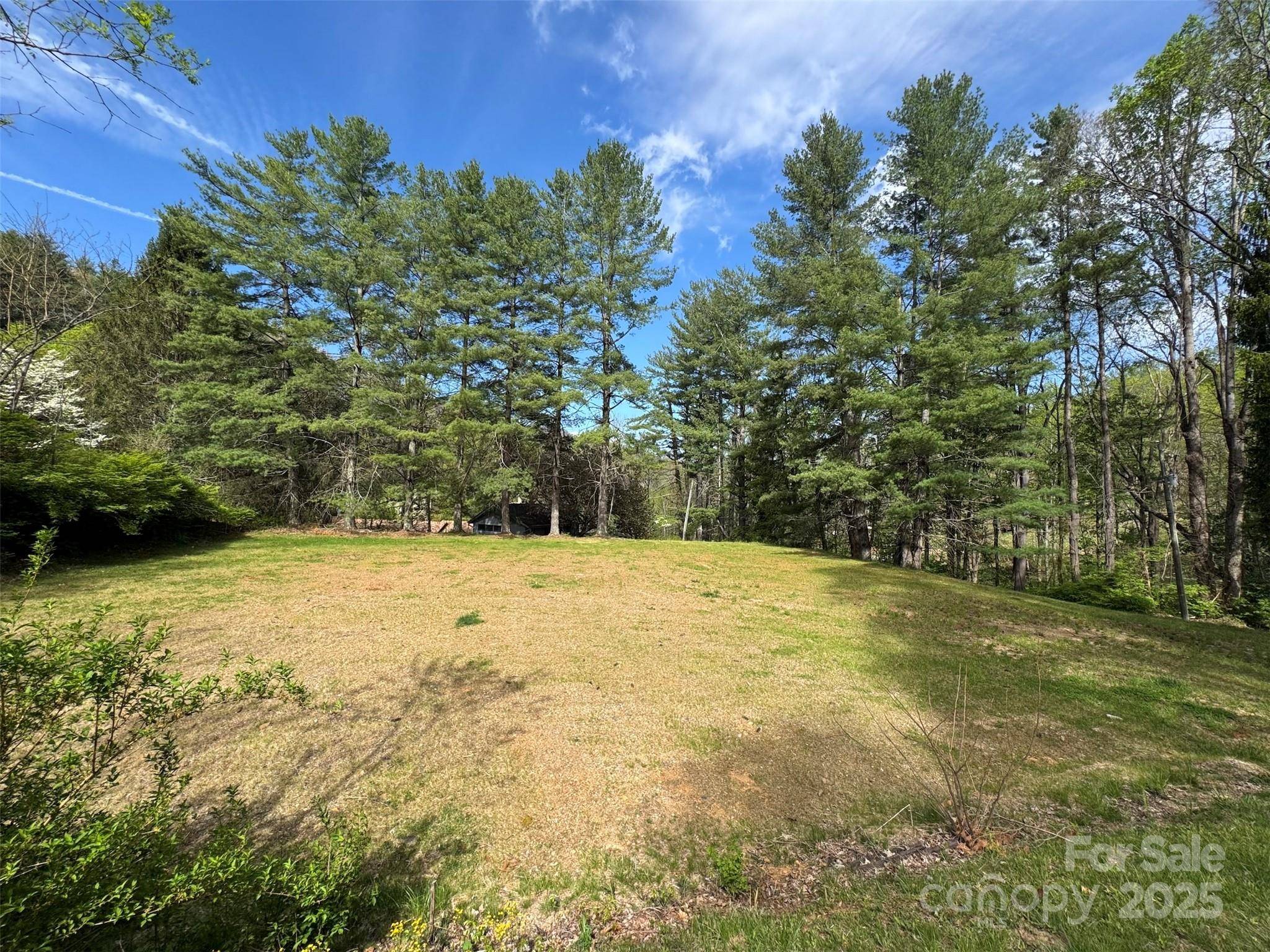 TBD (A) Chestnut Walk DR, Waynesville, NC 28786