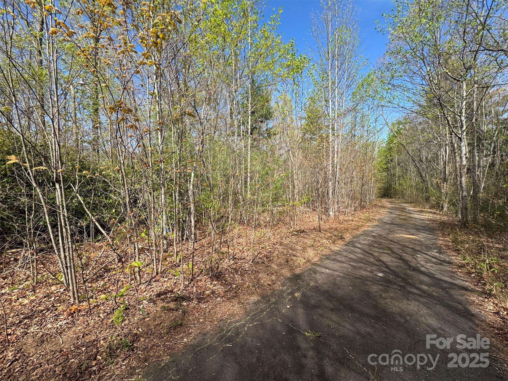 TBD (D) Chestnut Walk DR, Waynesville, NC 28786