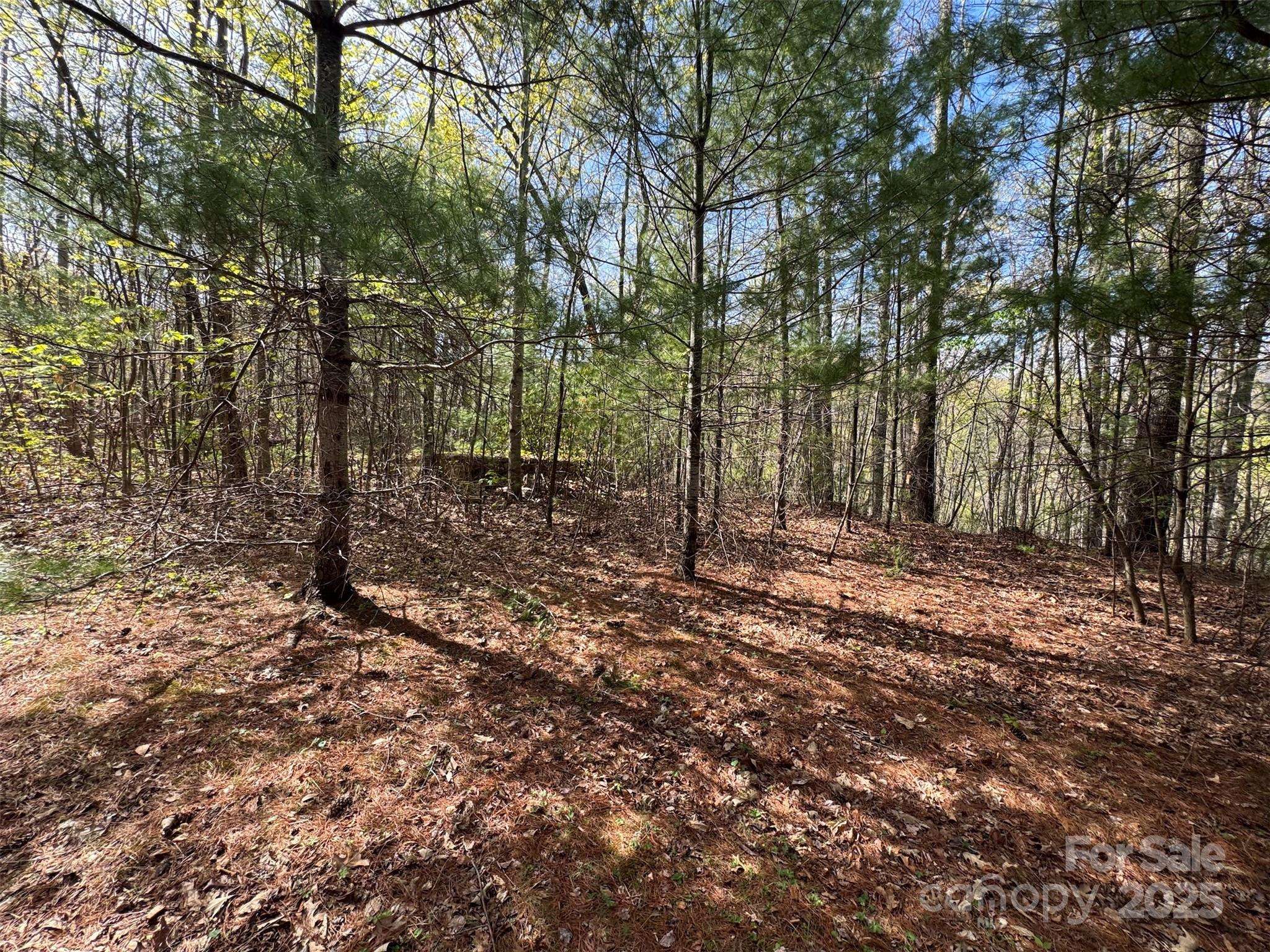 TBD (D) Chestnut Walk DR, Waynesville, NC 28786