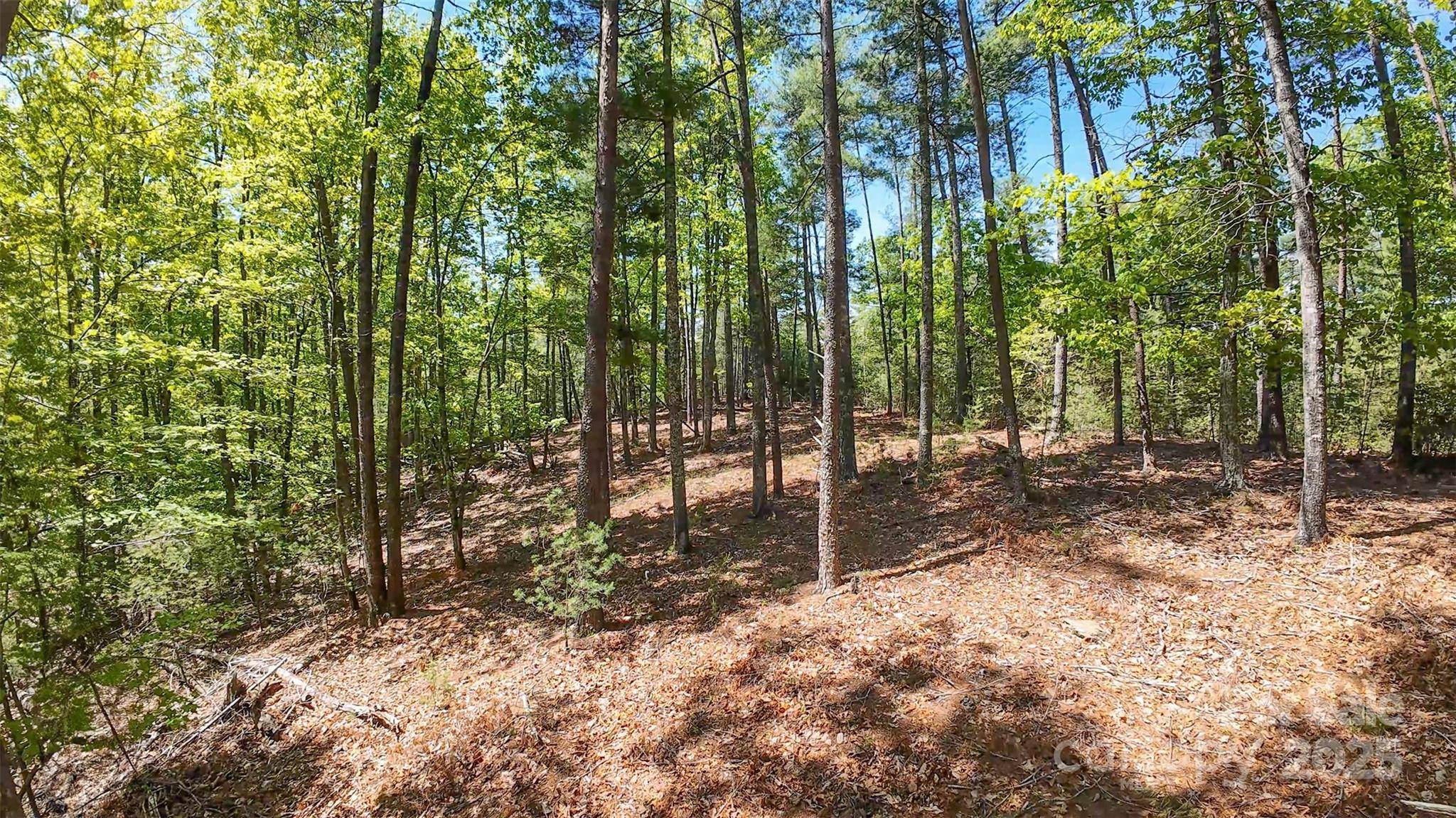 46 Osprey Roost DR, Nebo, NC 28761