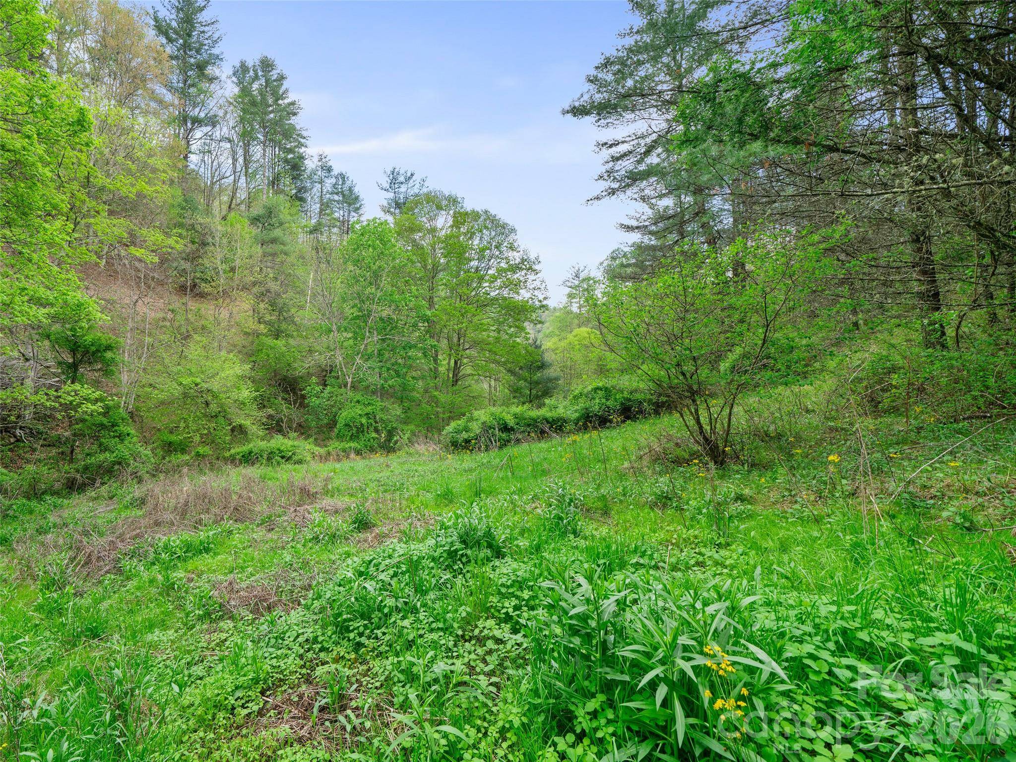 0 Fire Scald RD, Green Mountain, NC 28740