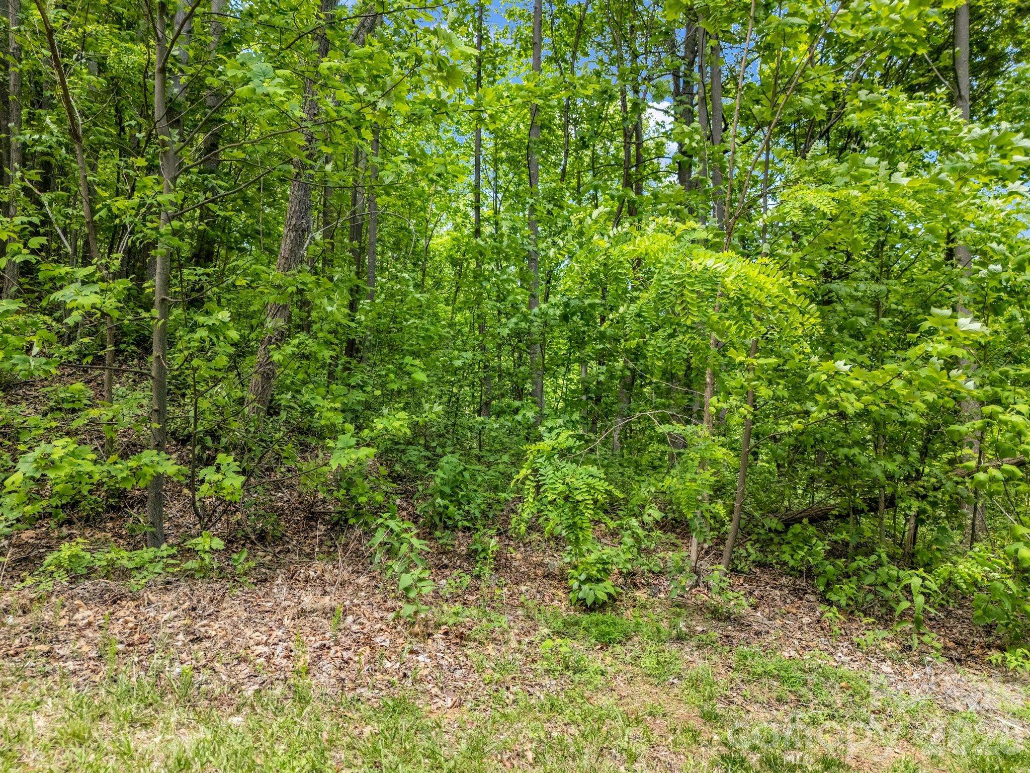 0 Ragans Pointe #31, Columbus, NC 28722