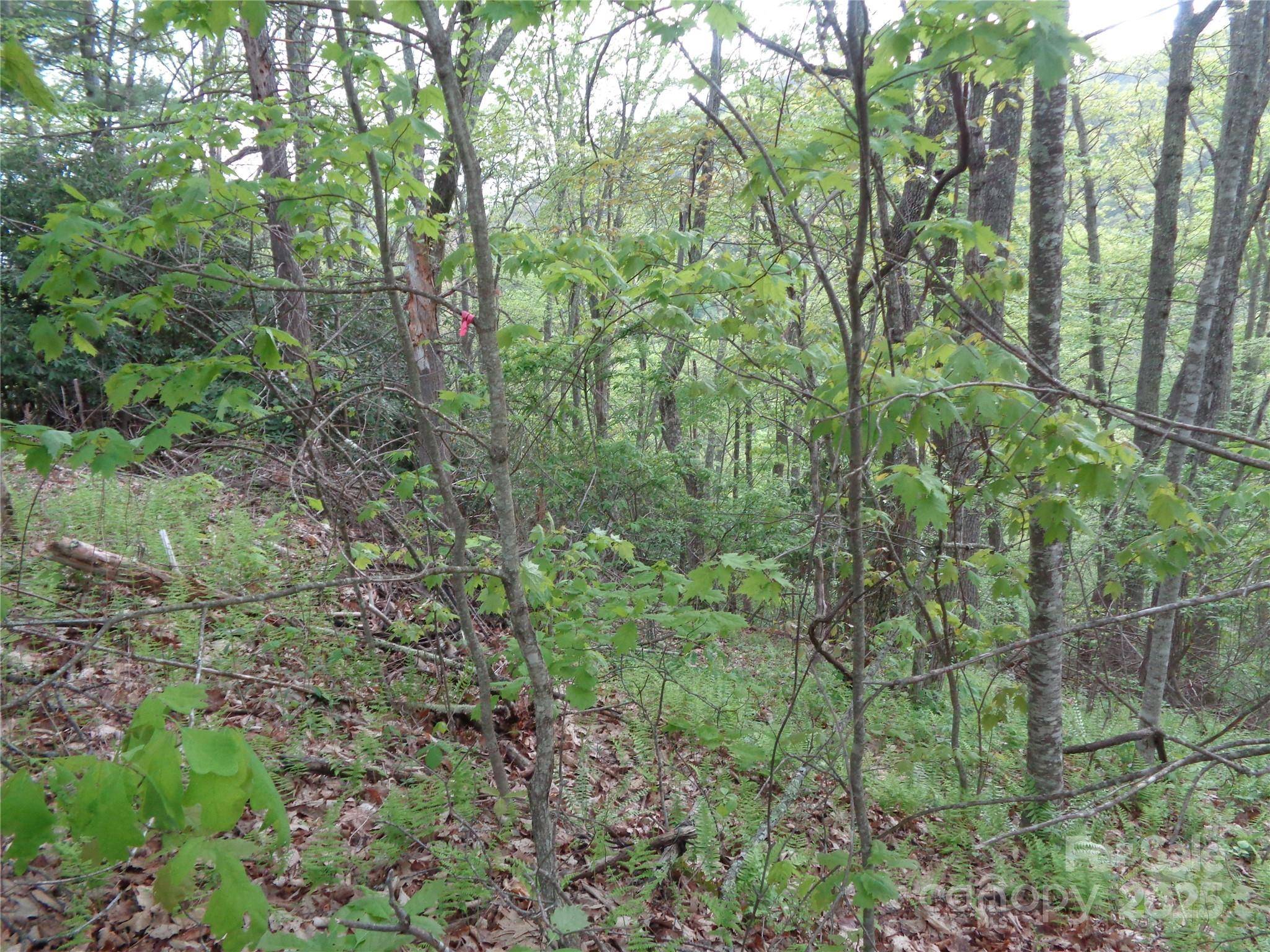 00 Promiseland RD, Canton, NC 28716