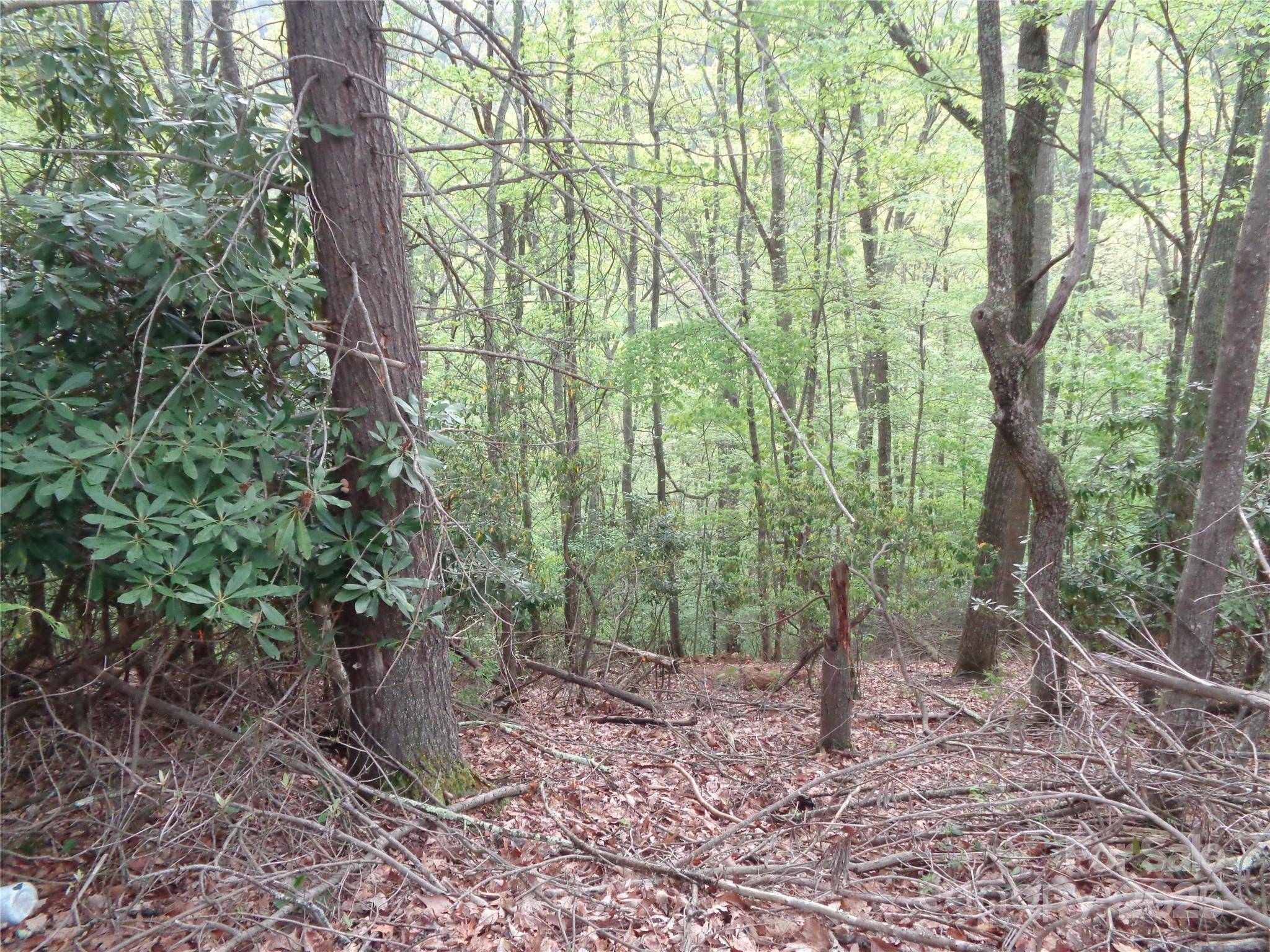 00 Promiseland RD, Canton, NC 28716