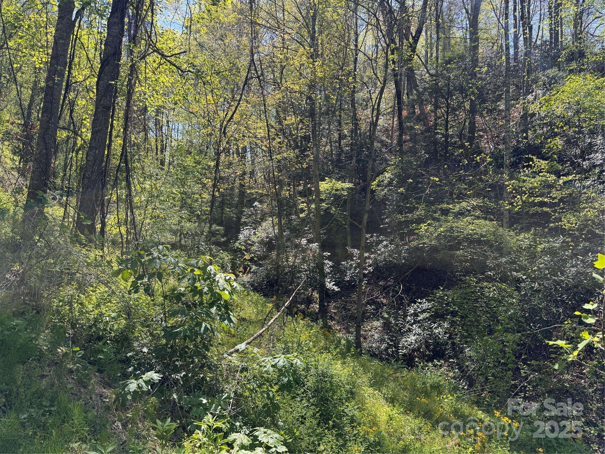 000 Relief EXT, Green Mountain, NC 28740