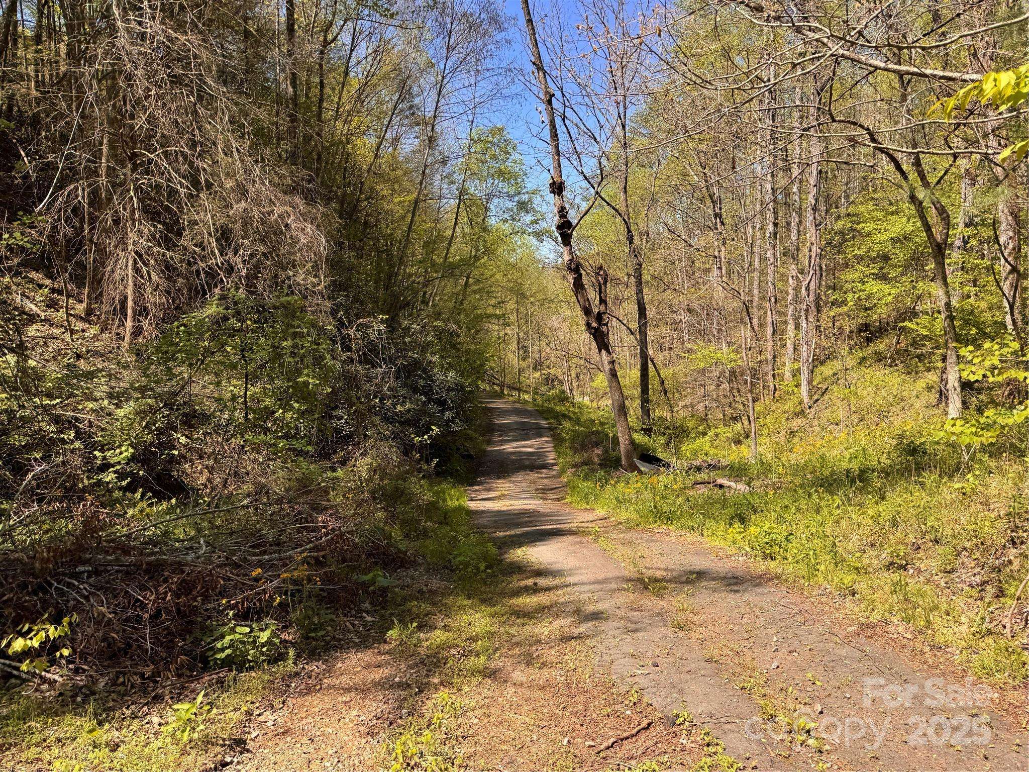 000 Relief EXT, Green Mountain, NC 28740