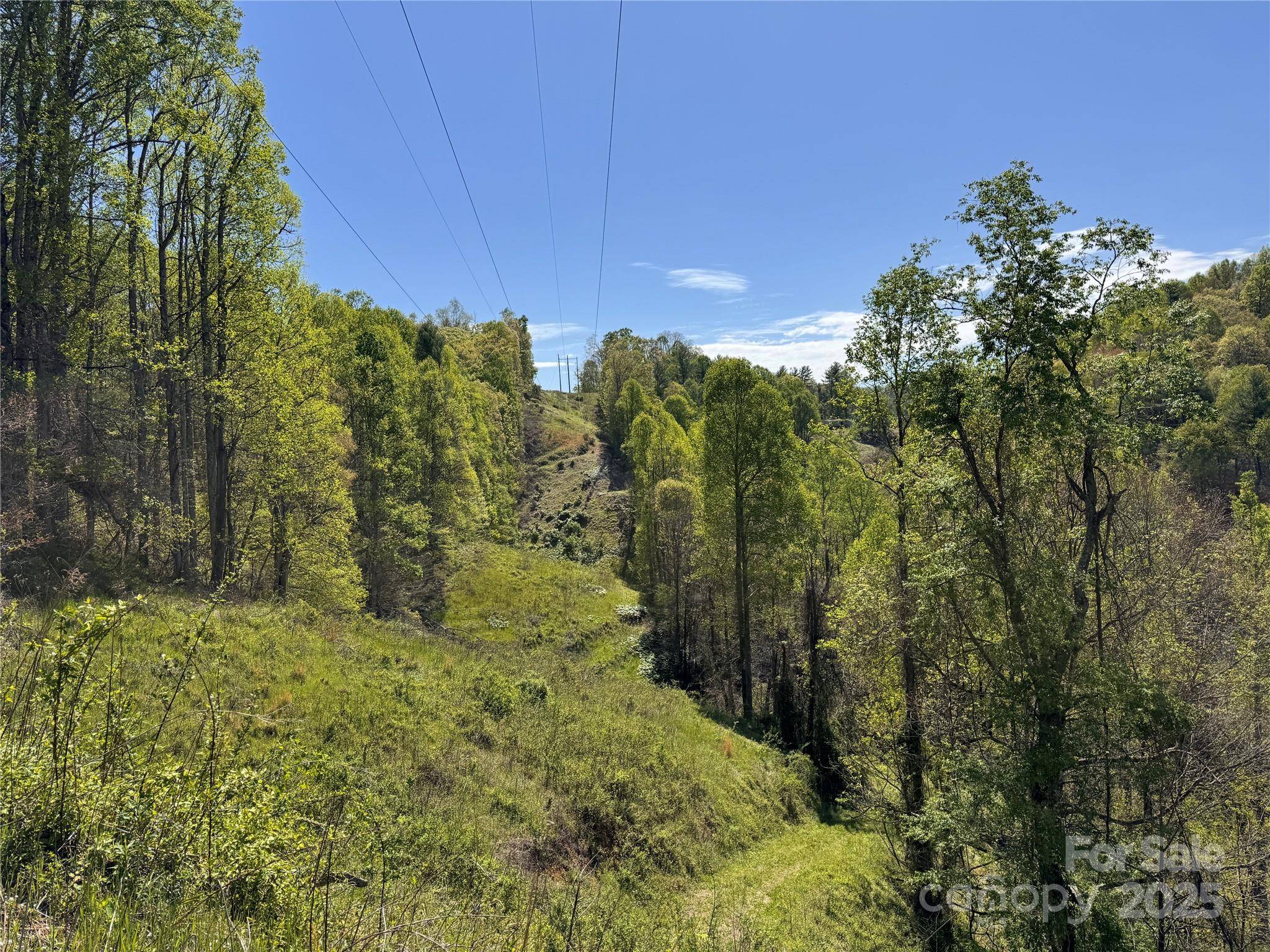 000 Relief EXT, Green Mountain, NC 28740