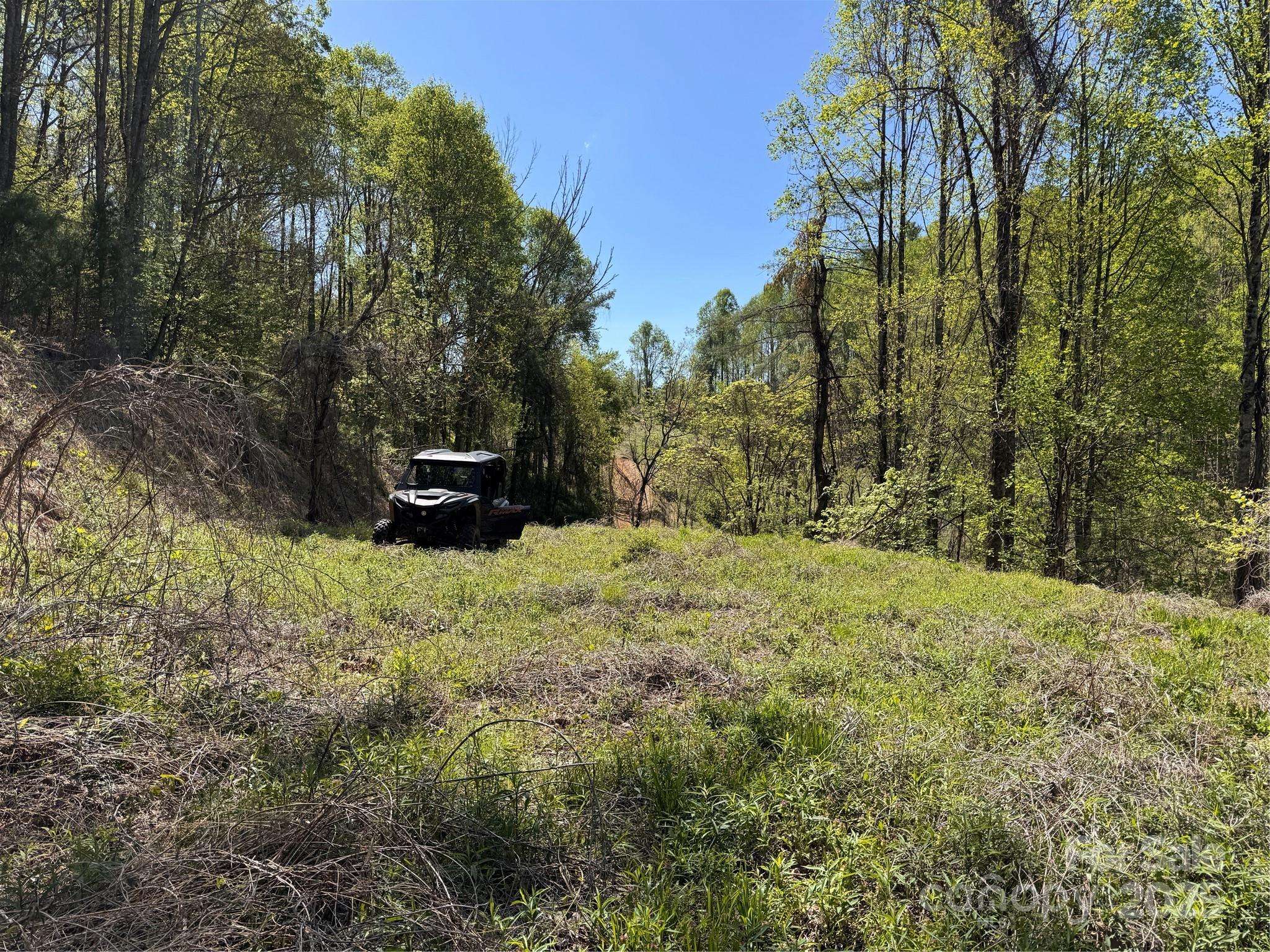 000 Relief EXT, Green Mountain, NC 28740