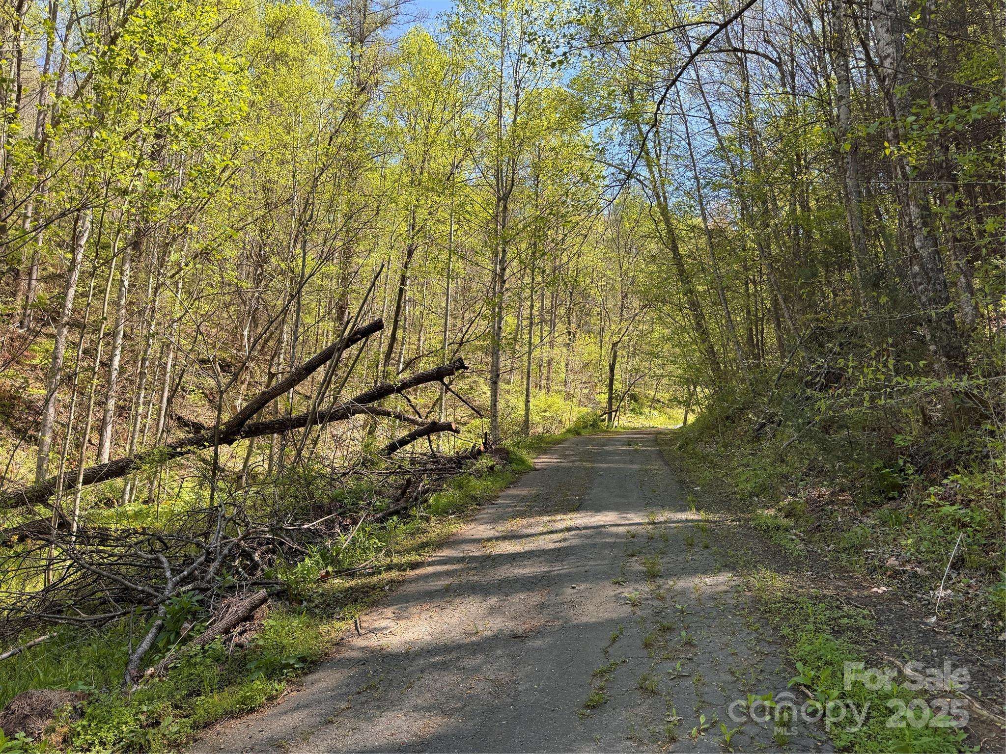 000 Relief EXT, Green Mountain, NC 28740