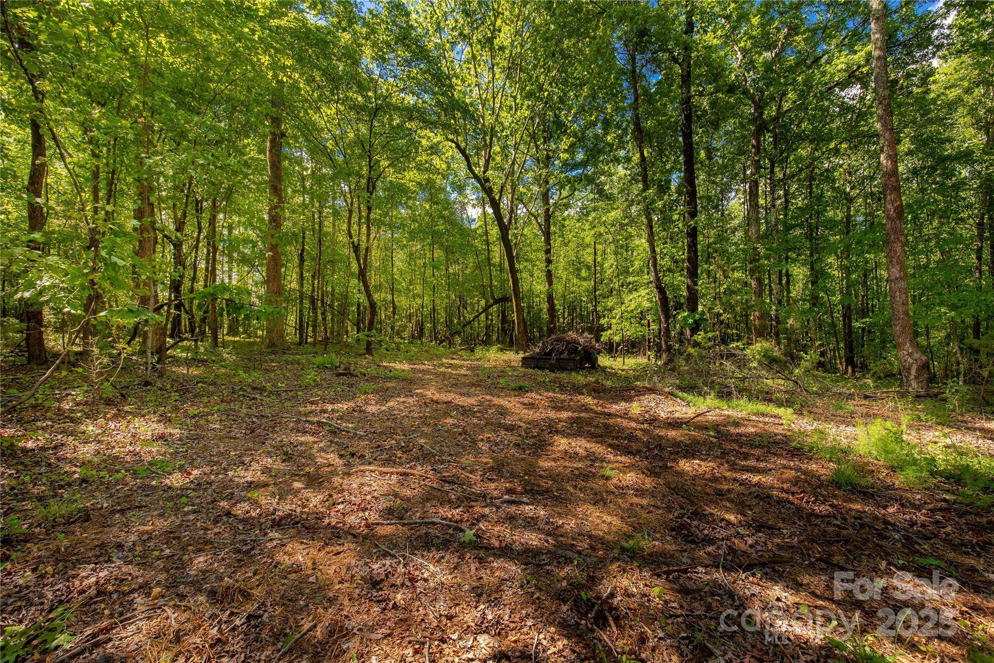5212 Star Magnolia CT, Clover, SC 29710