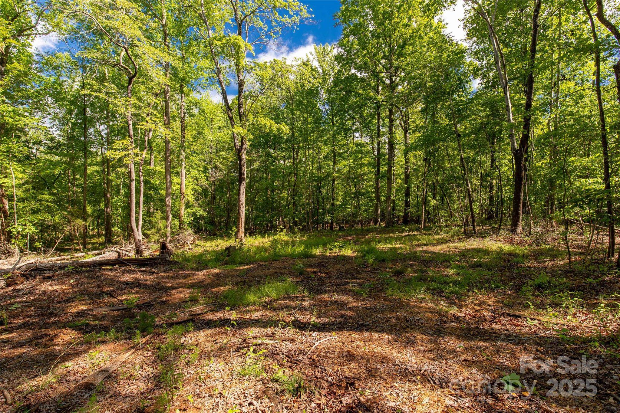 5212 Star Magnolia CT, Clover, SC 29710