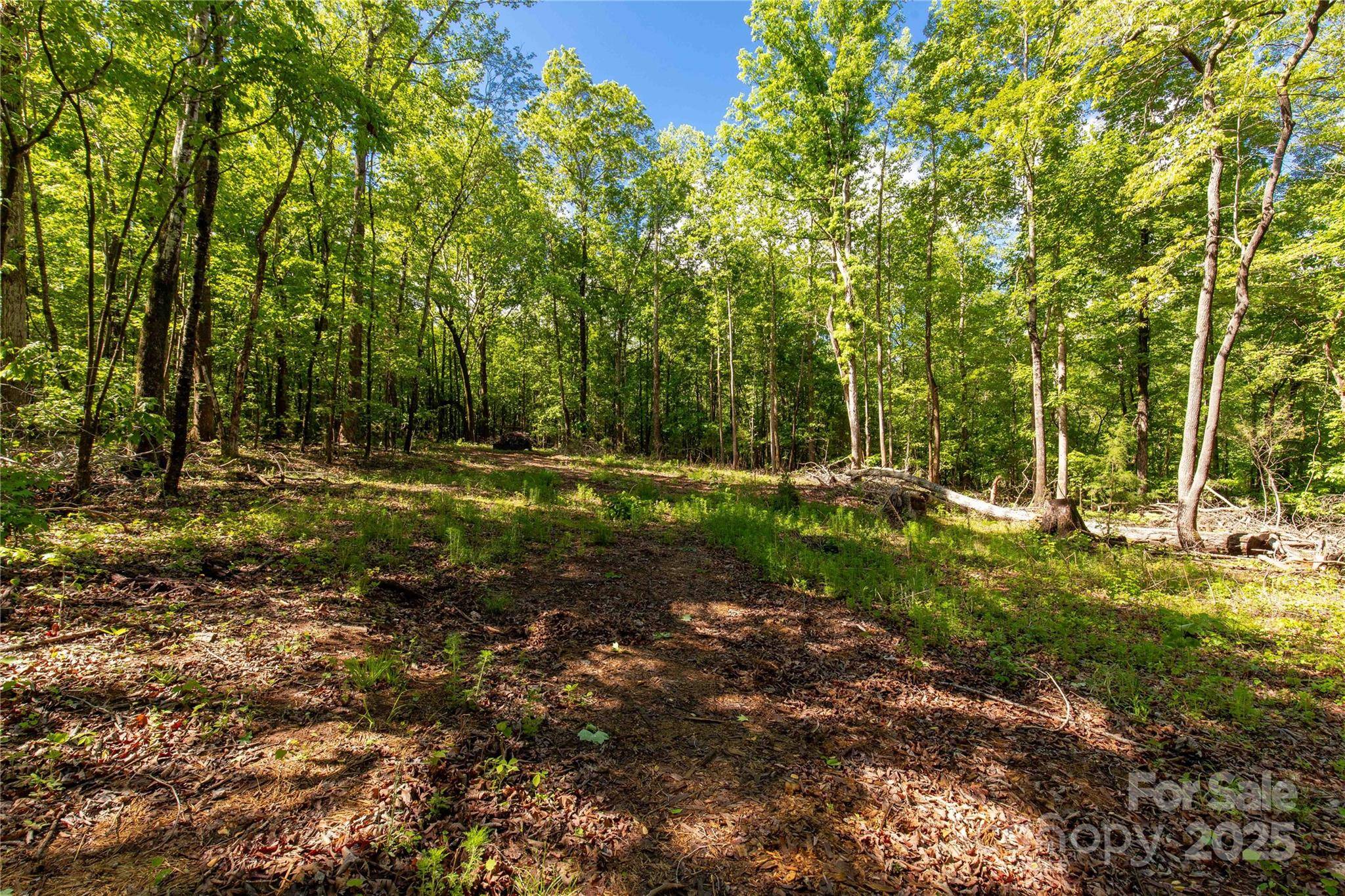 5212 Star Magnolia CT, Clover, SC 29710