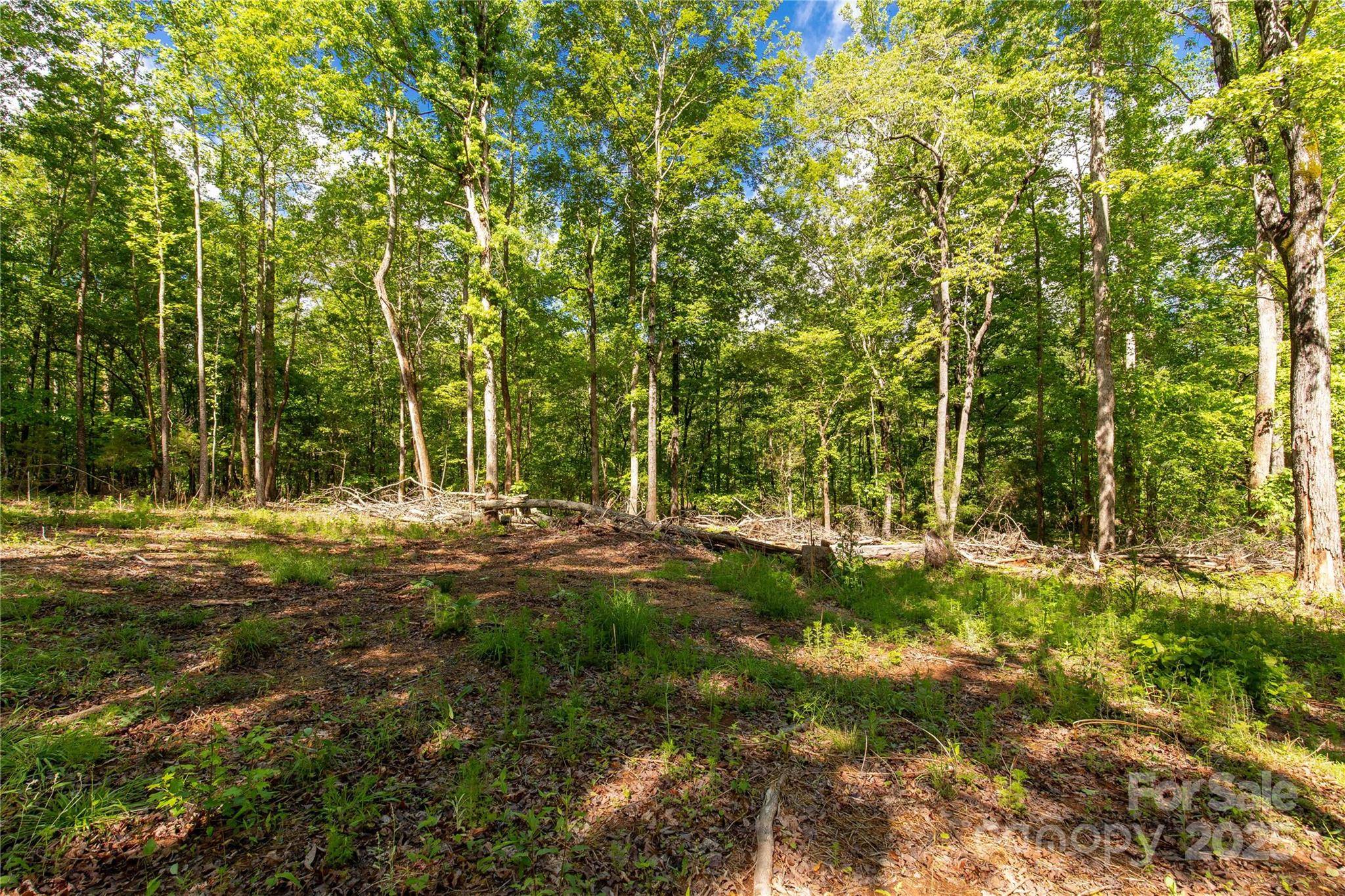 5212 Star Magnolia CT, Clover, SC 29710