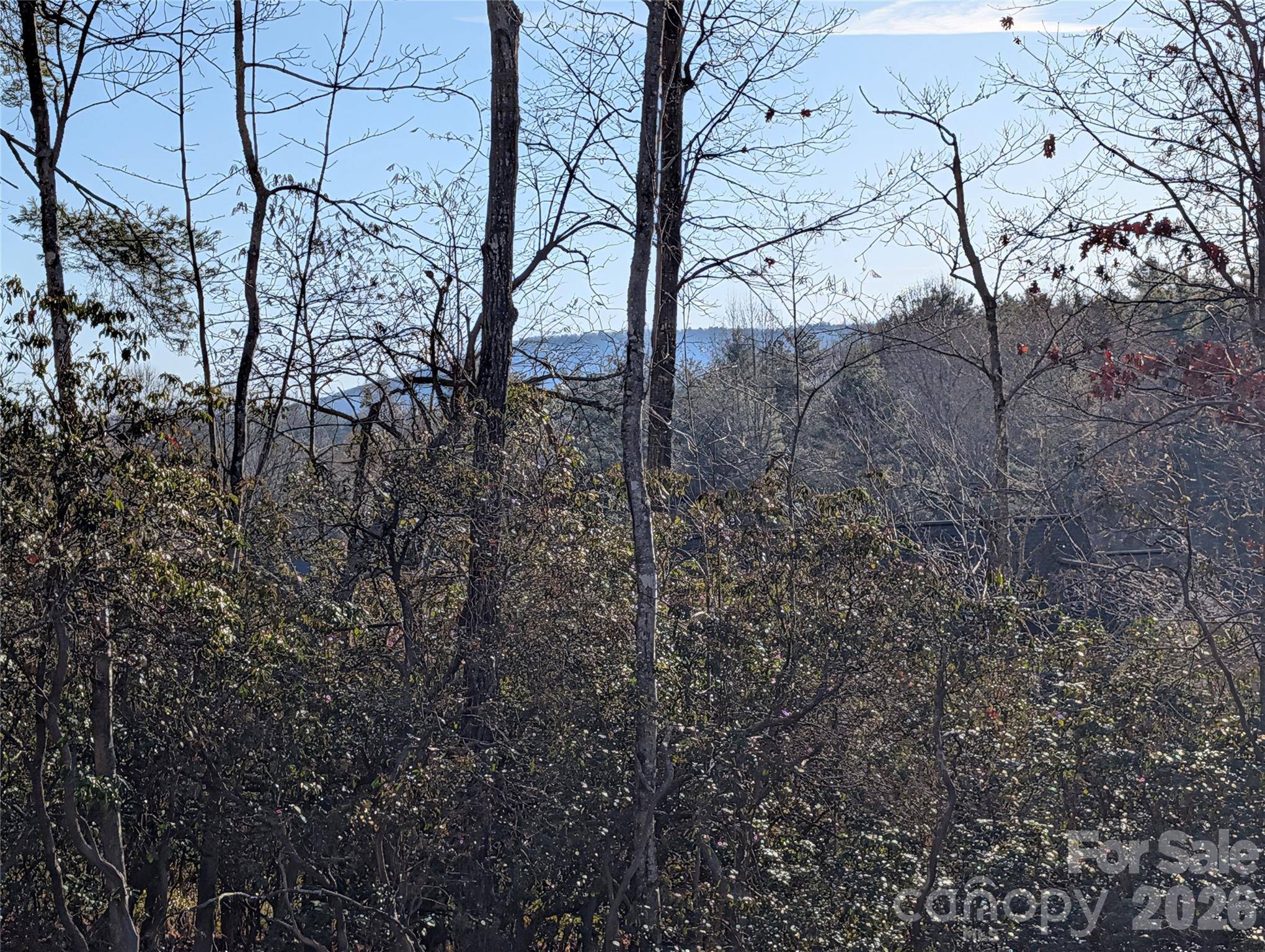 00 Winterberry DR #54, Hendersonville, NC 28739