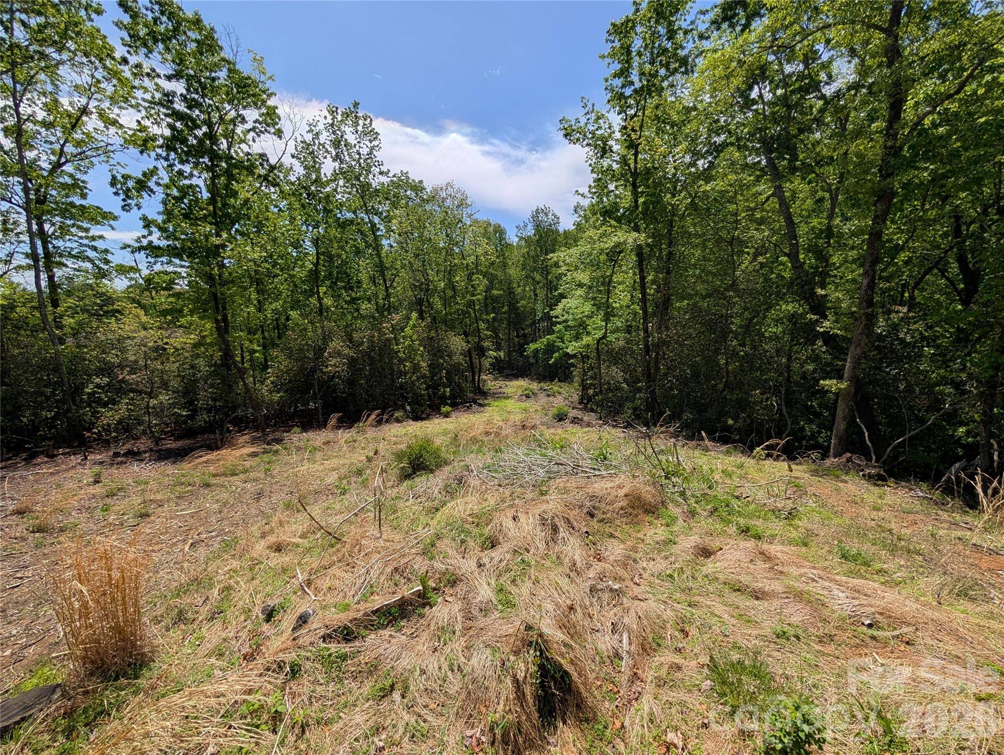 00 Winterberry DR #54, Hendersonville, NC 28739