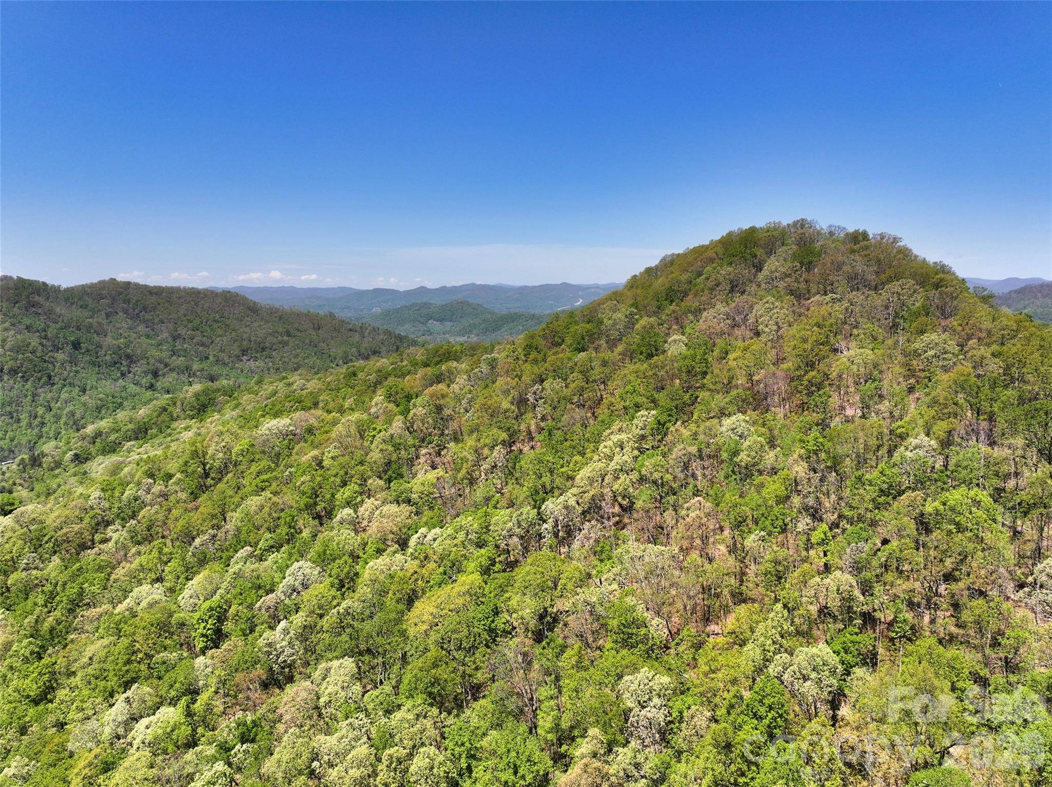 99999 Anderson Cove RD, Barnardsville, NC 28709