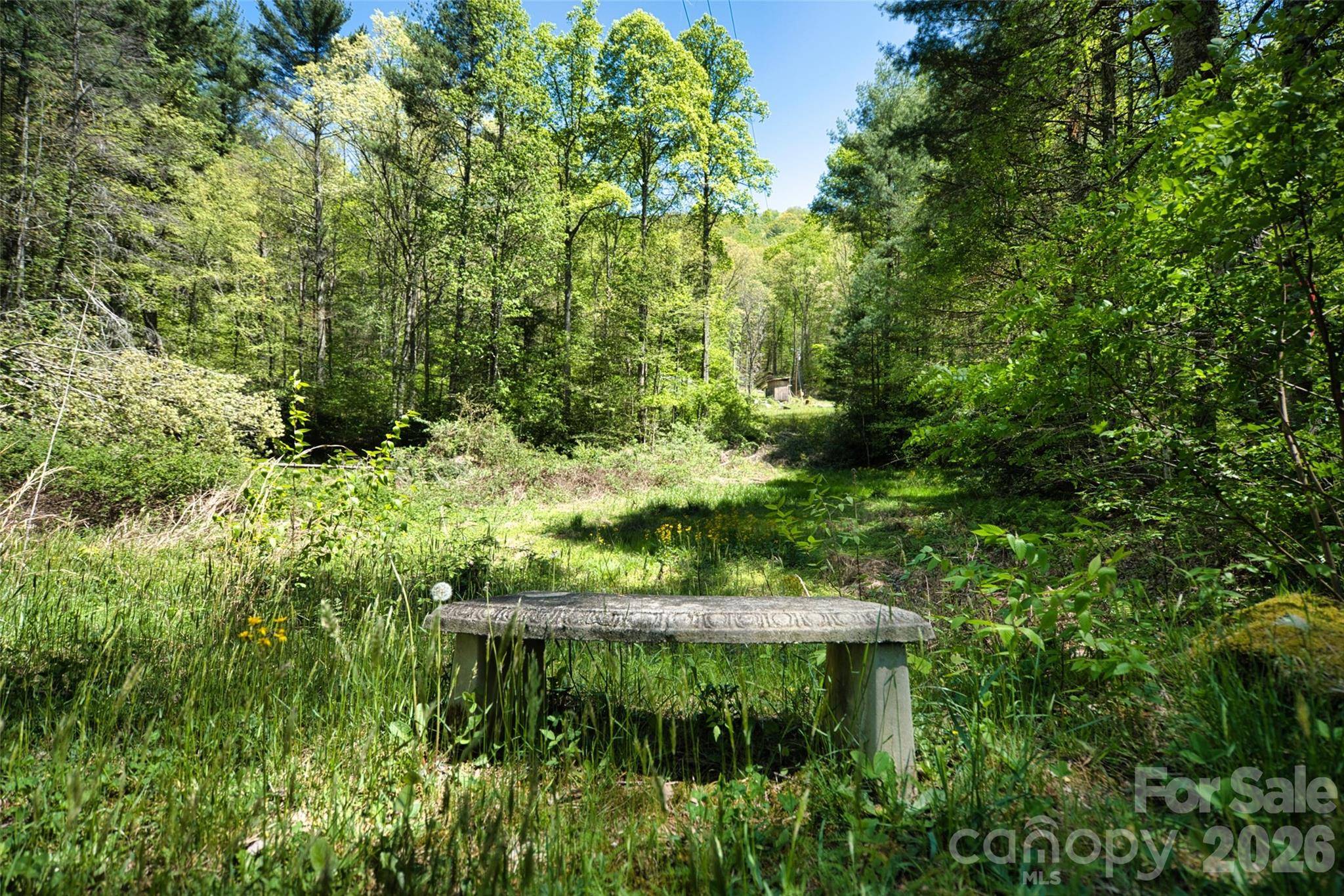 99999 Anderson Cove RD, Barnardsville, NC 28709