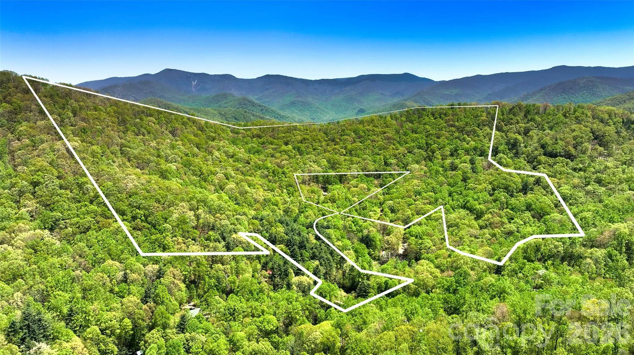 99999 Anderson Cove RD, Barnardsville, NC 28709