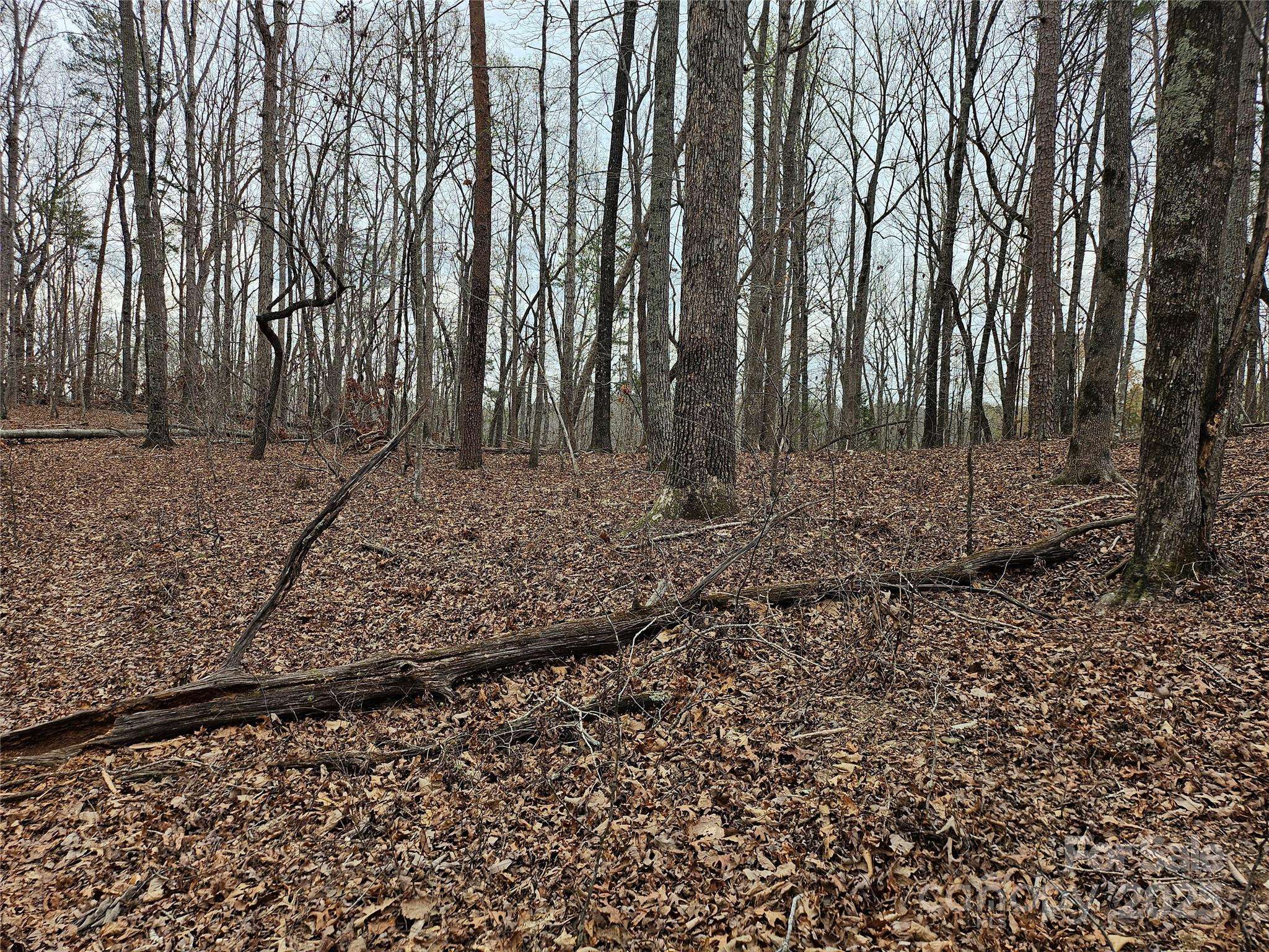 000 Weaver Mill RD, Columbus, NC 28722