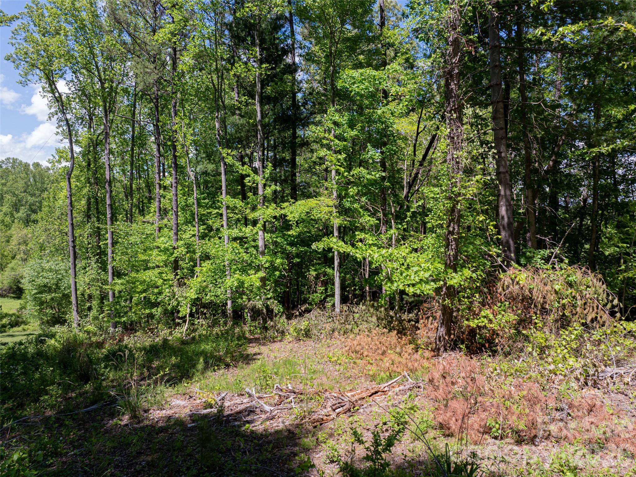 99999 Brevard RD, Arden, NC 28704