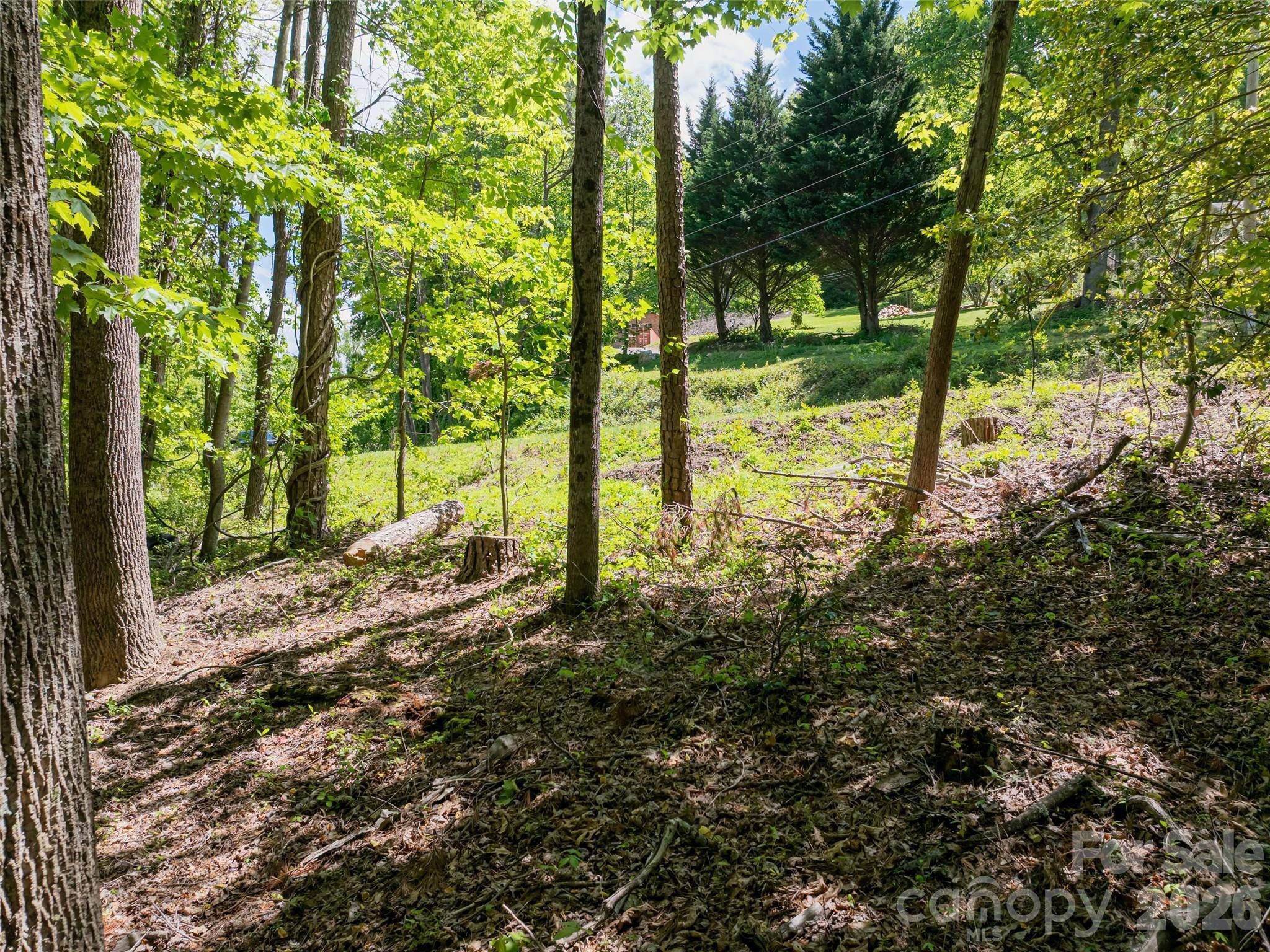 99999 Brevard RD, Arden, NC 28704