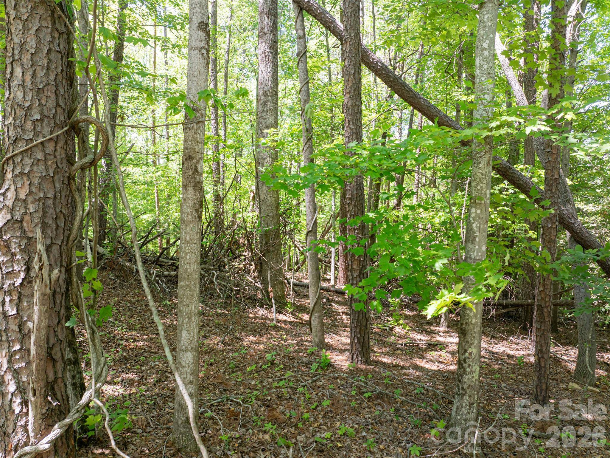 99999 Brevard RD, Arden, NC 28704