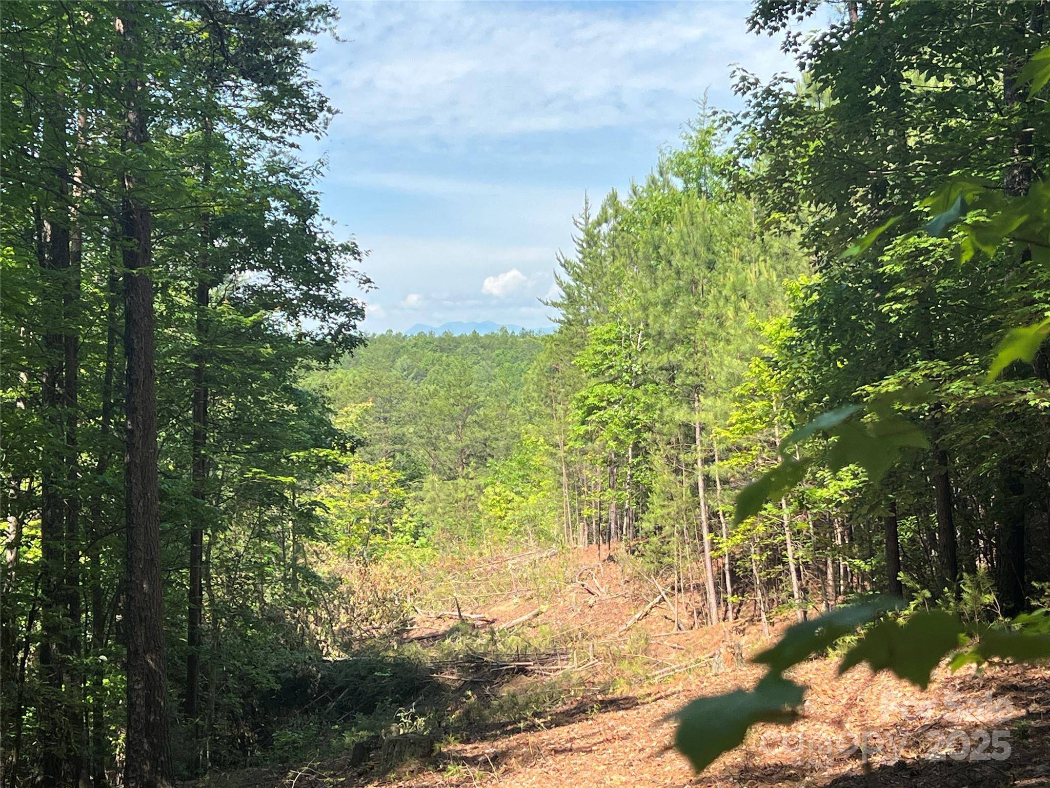 0 South Mountain DR #16, Nebo, NC 28761