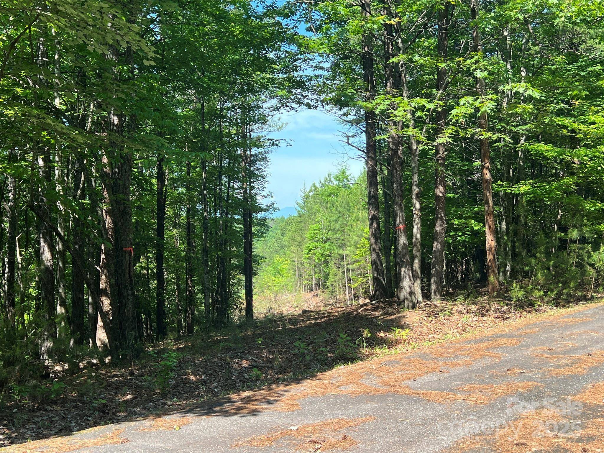 0 South Mountain DR #16, Nebo, NC 28761