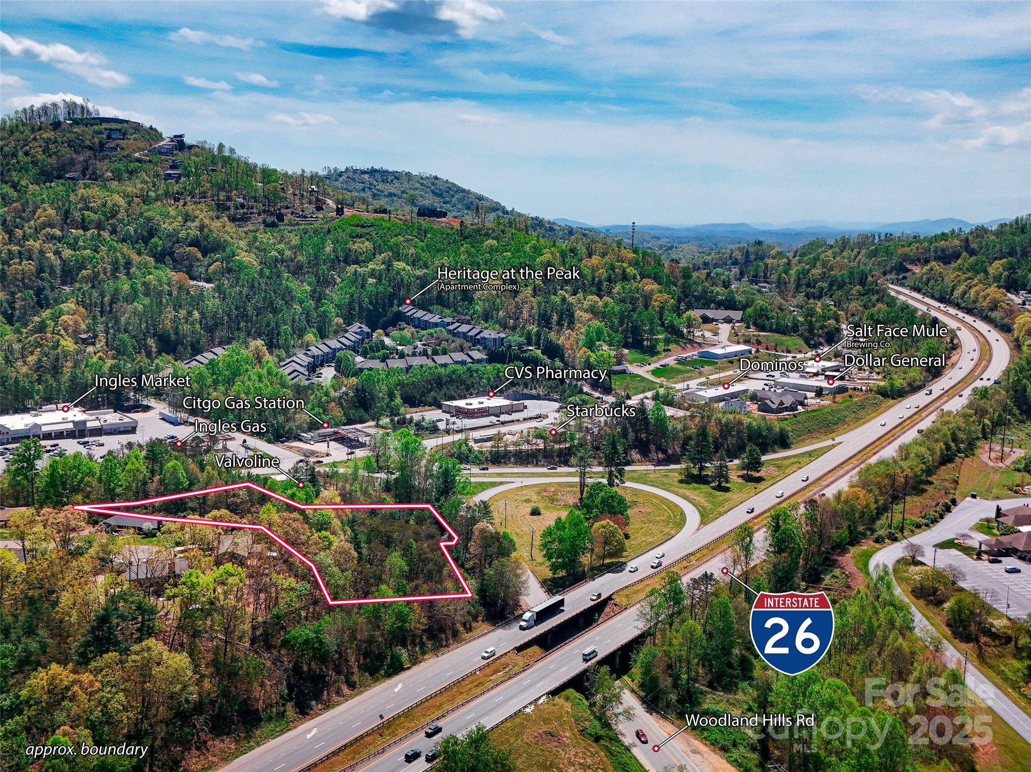 99999 Blueberry Hill RD, Woodfin, NC 28804