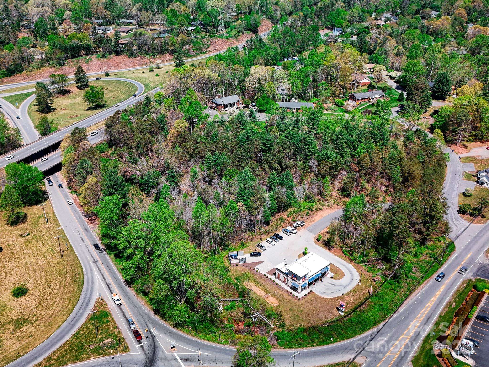 99999 Blueberry Hill RD, Woodfin, NC 28804