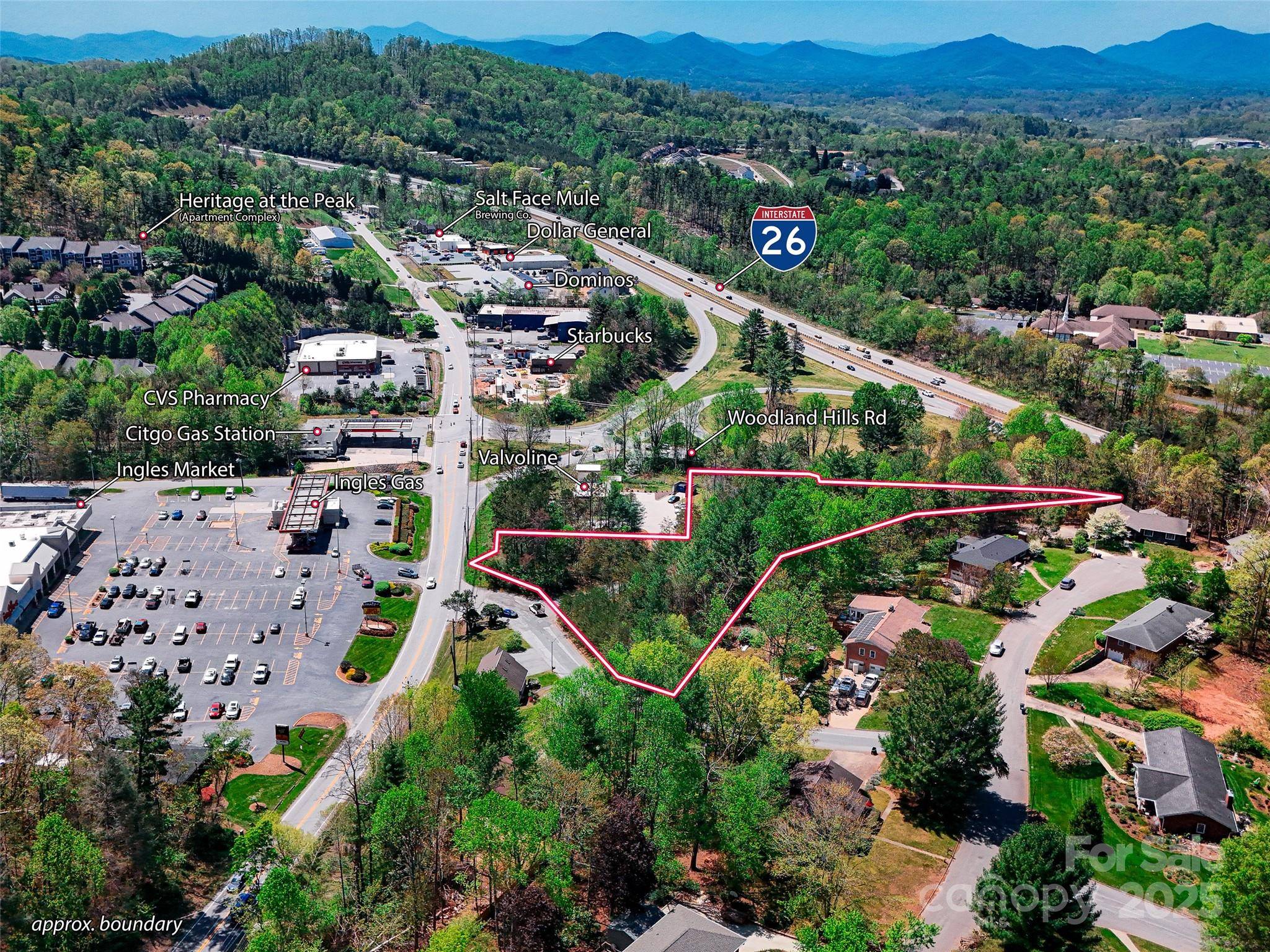 99999 Blueberry Hill RD, Woodfin, NC 28804