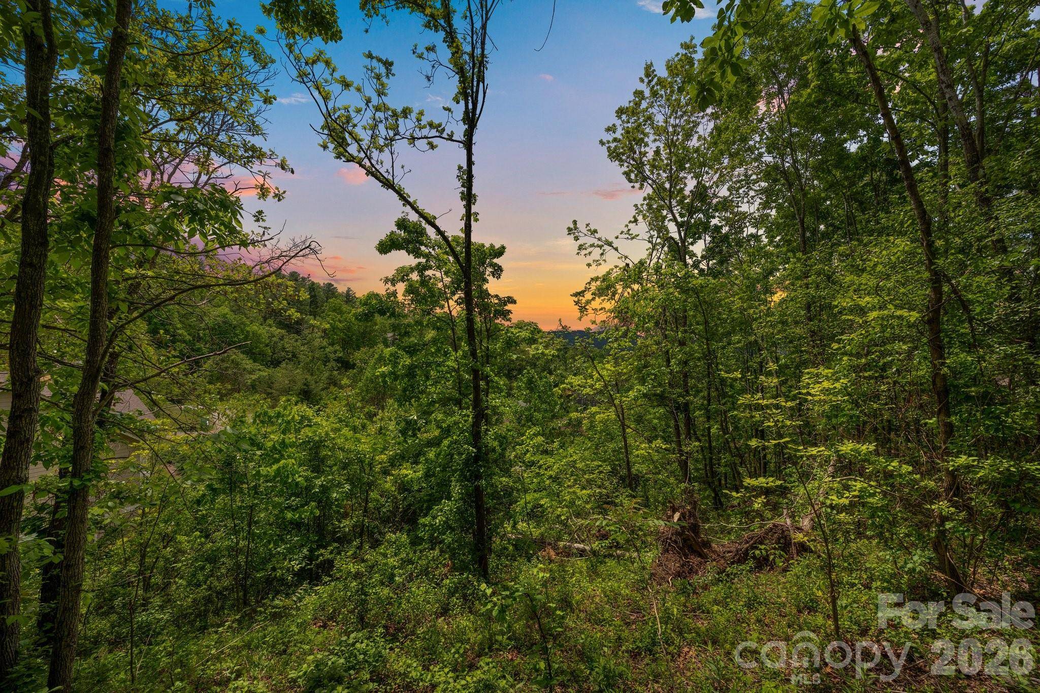 46 Hawtree CT #255, Weaverville, NC 28787