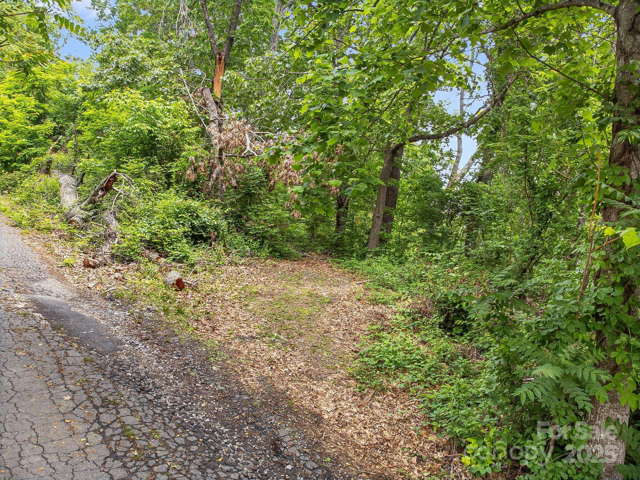 9999 Small Mountain DR, Asheville, NC 28805